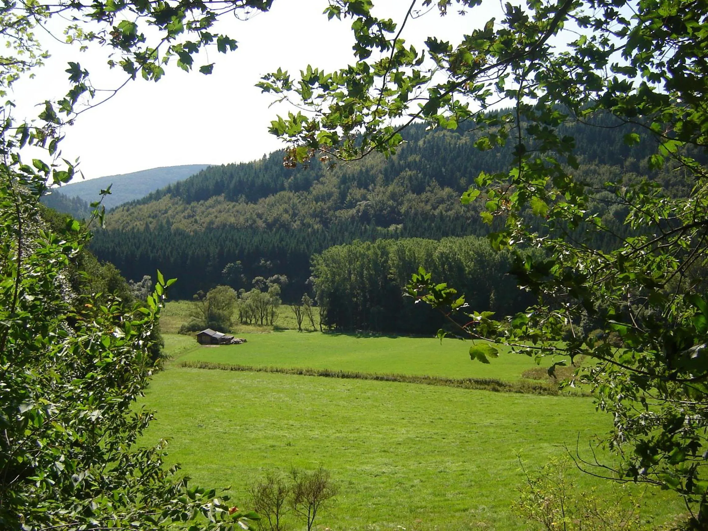 Area and facilities in Hotel Winterberg Resort