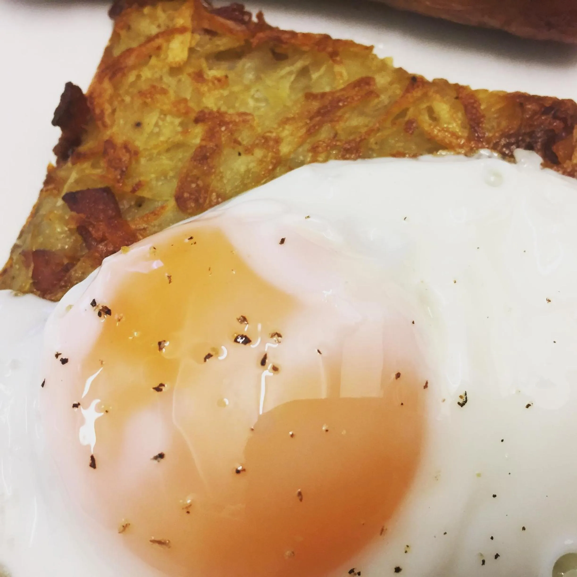 Food close-up in Oceandrive