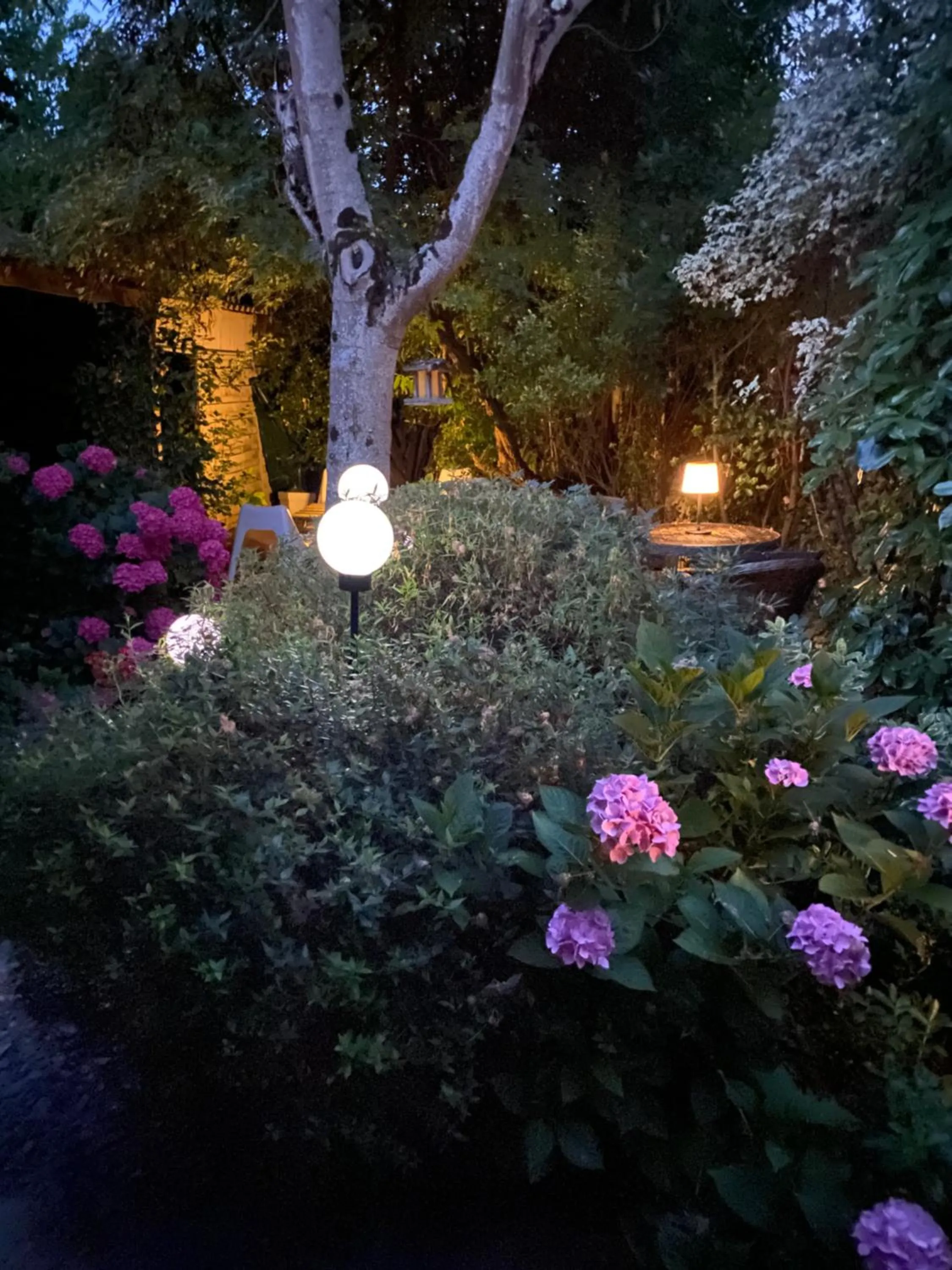 Spring in Chez Patou