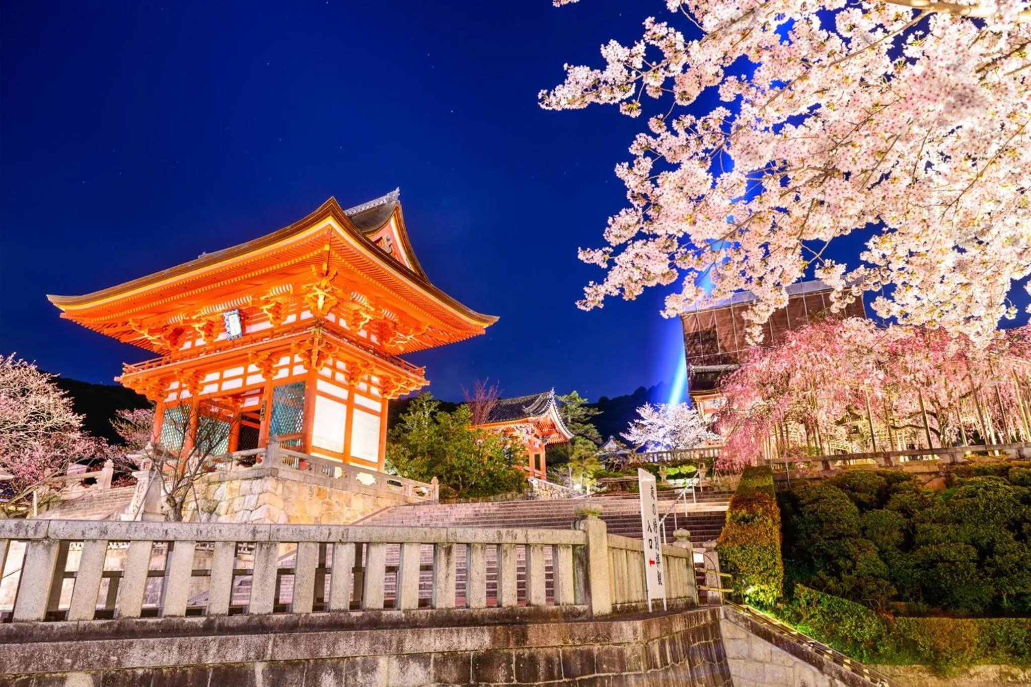 Osaka - Hotel / Vacation STAY 65254