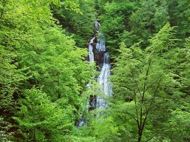 Other in Kackar Resort Hotel