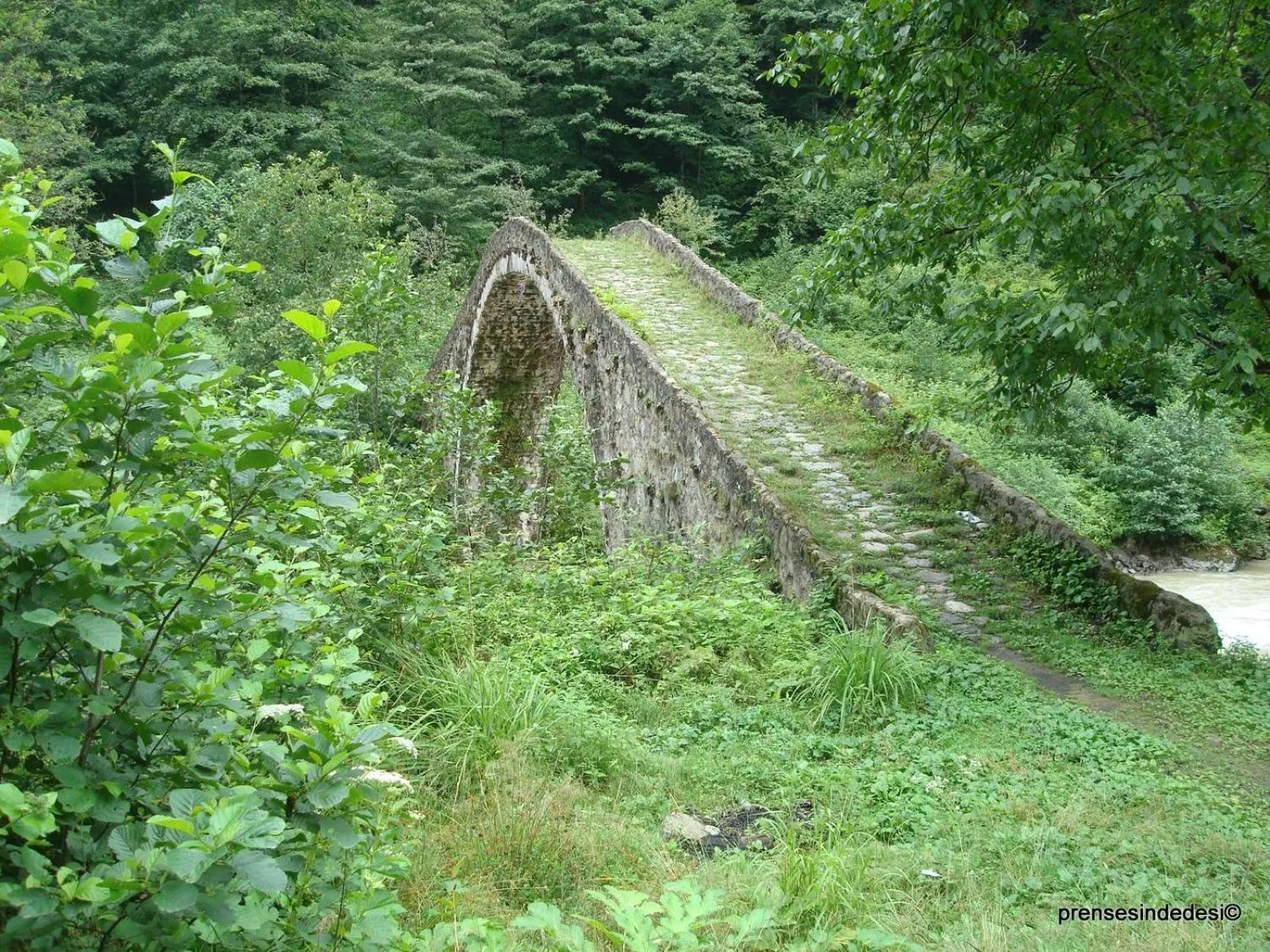 Other in Kackar Resort Hotel