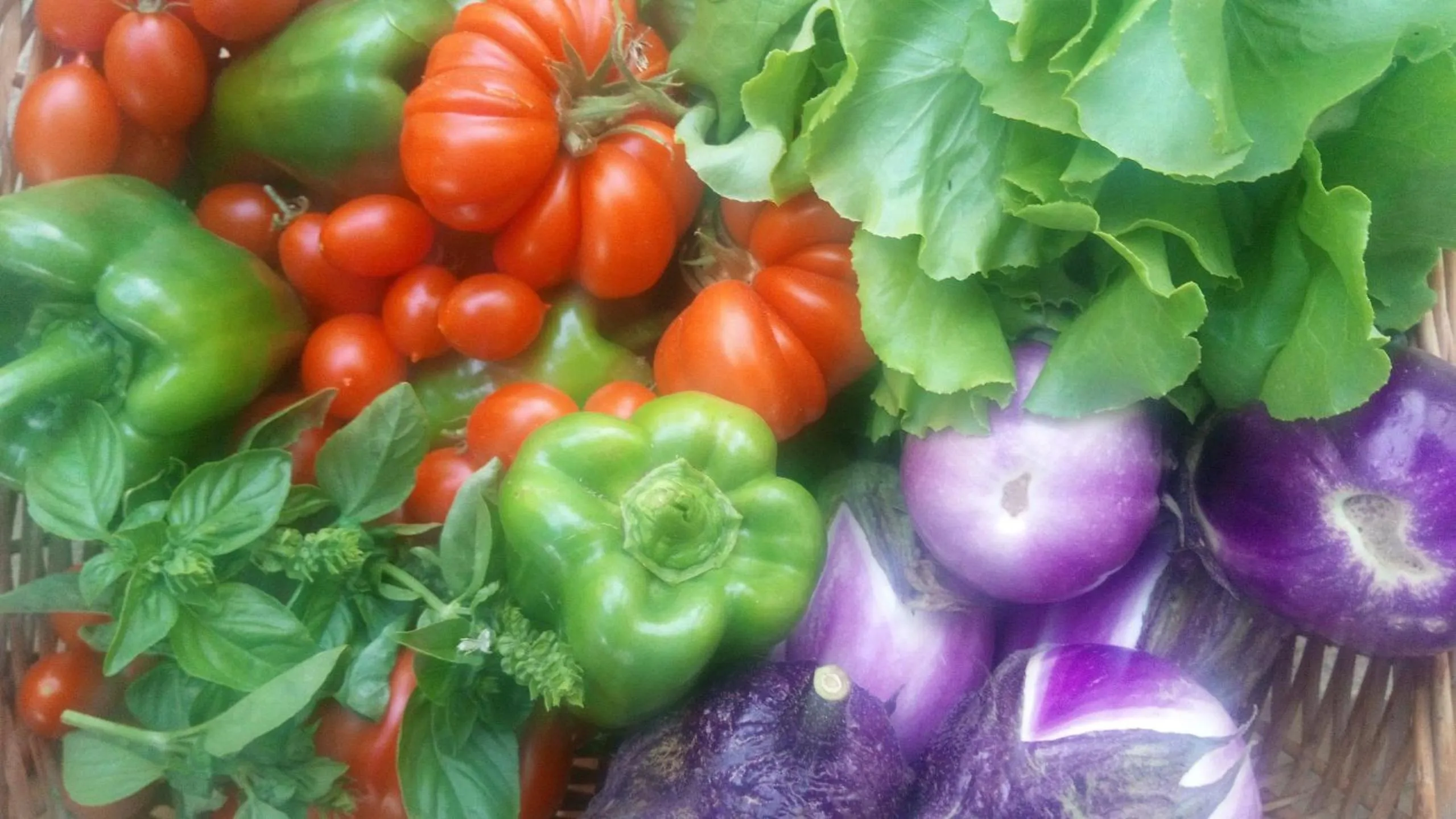 Natural landscape in Zagara di Sicilia