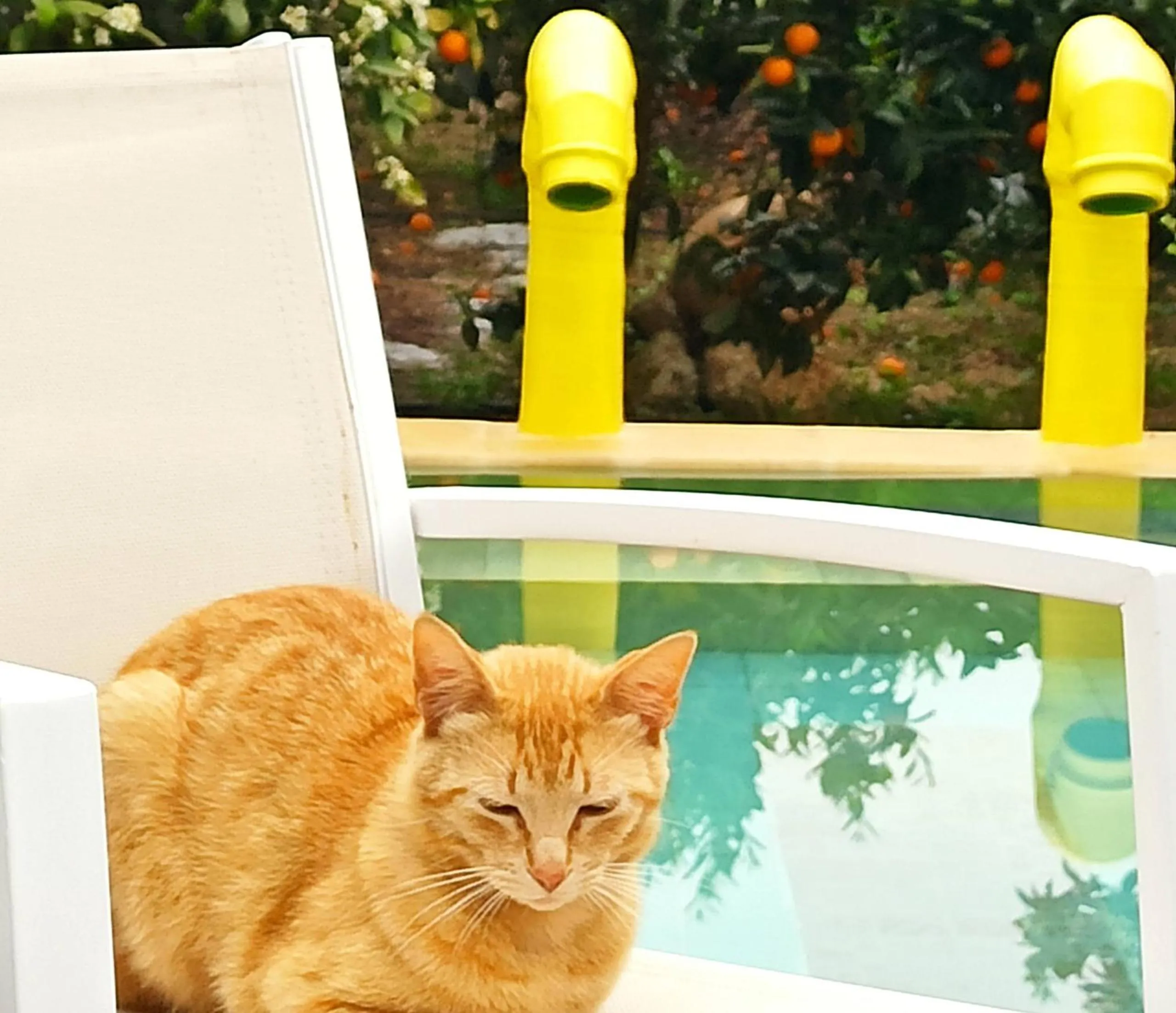 Property building in Zagara di Sicilia