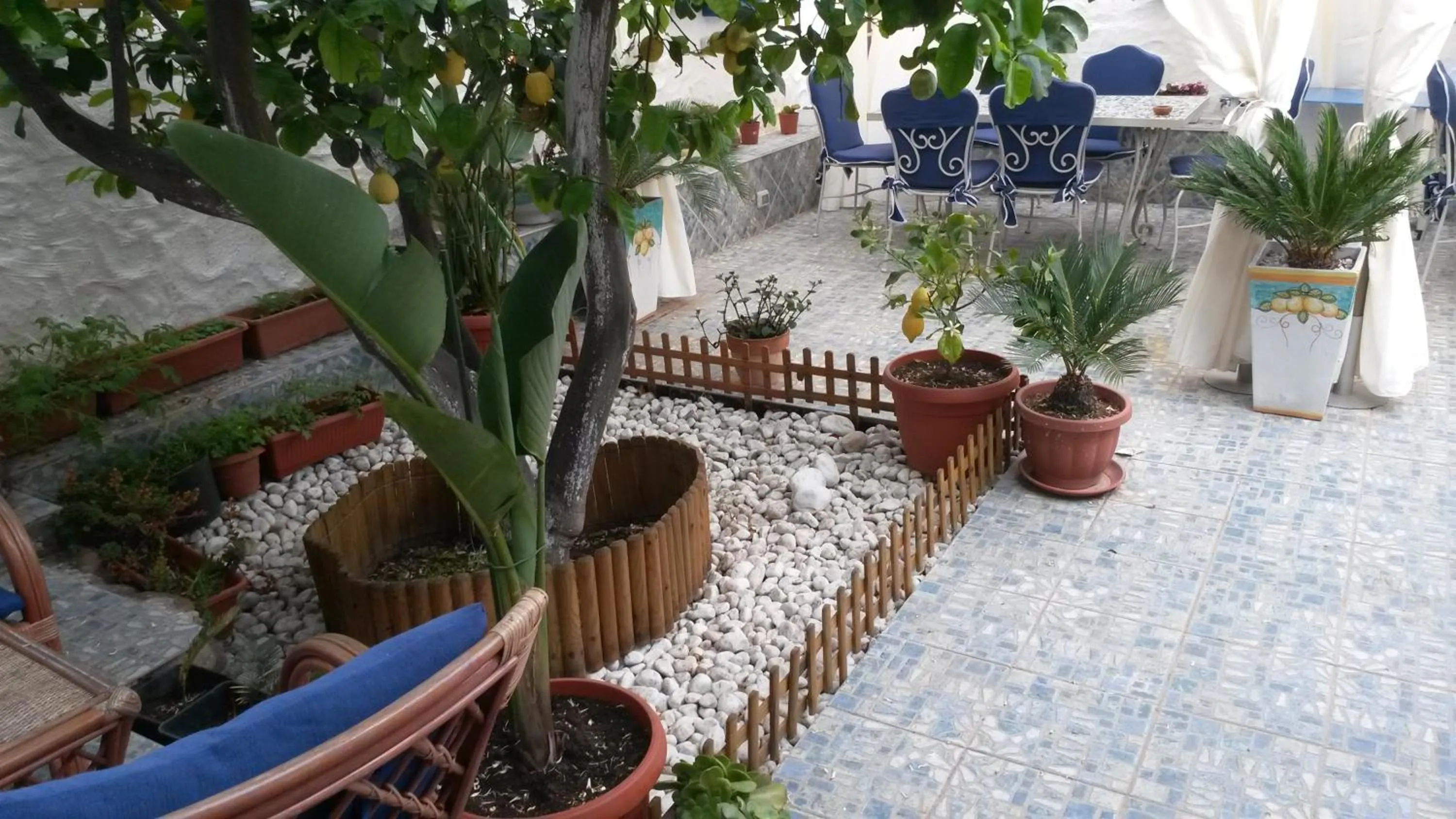 Garden in B&B Gi & Giò