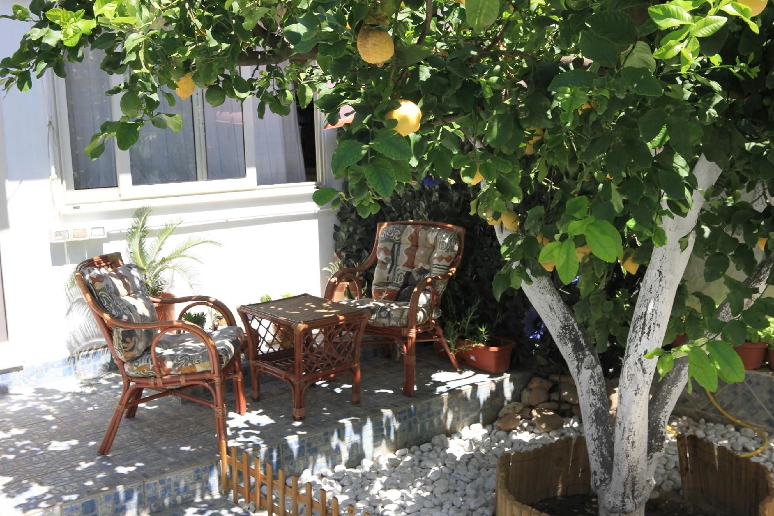 Garden in B&B Gi & Giò