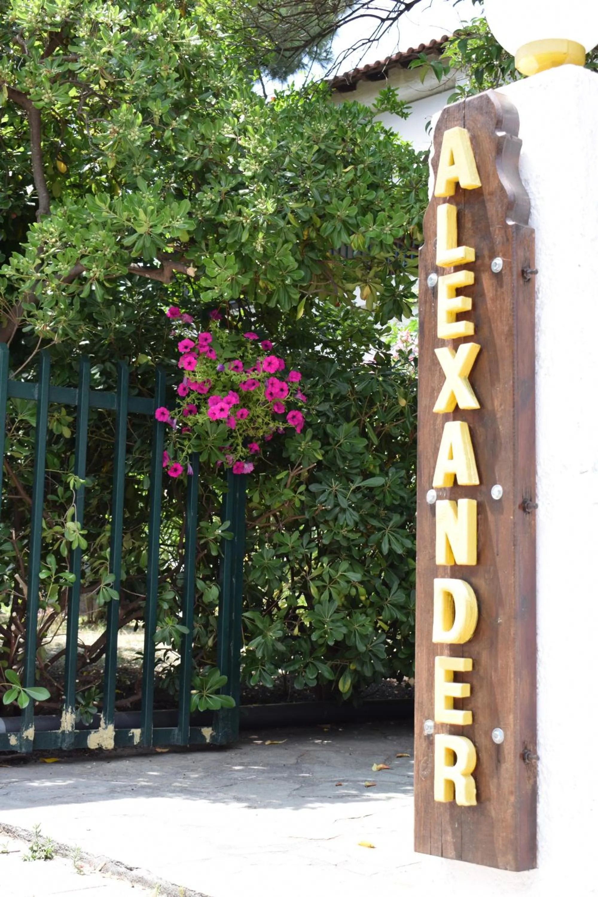 Alexander