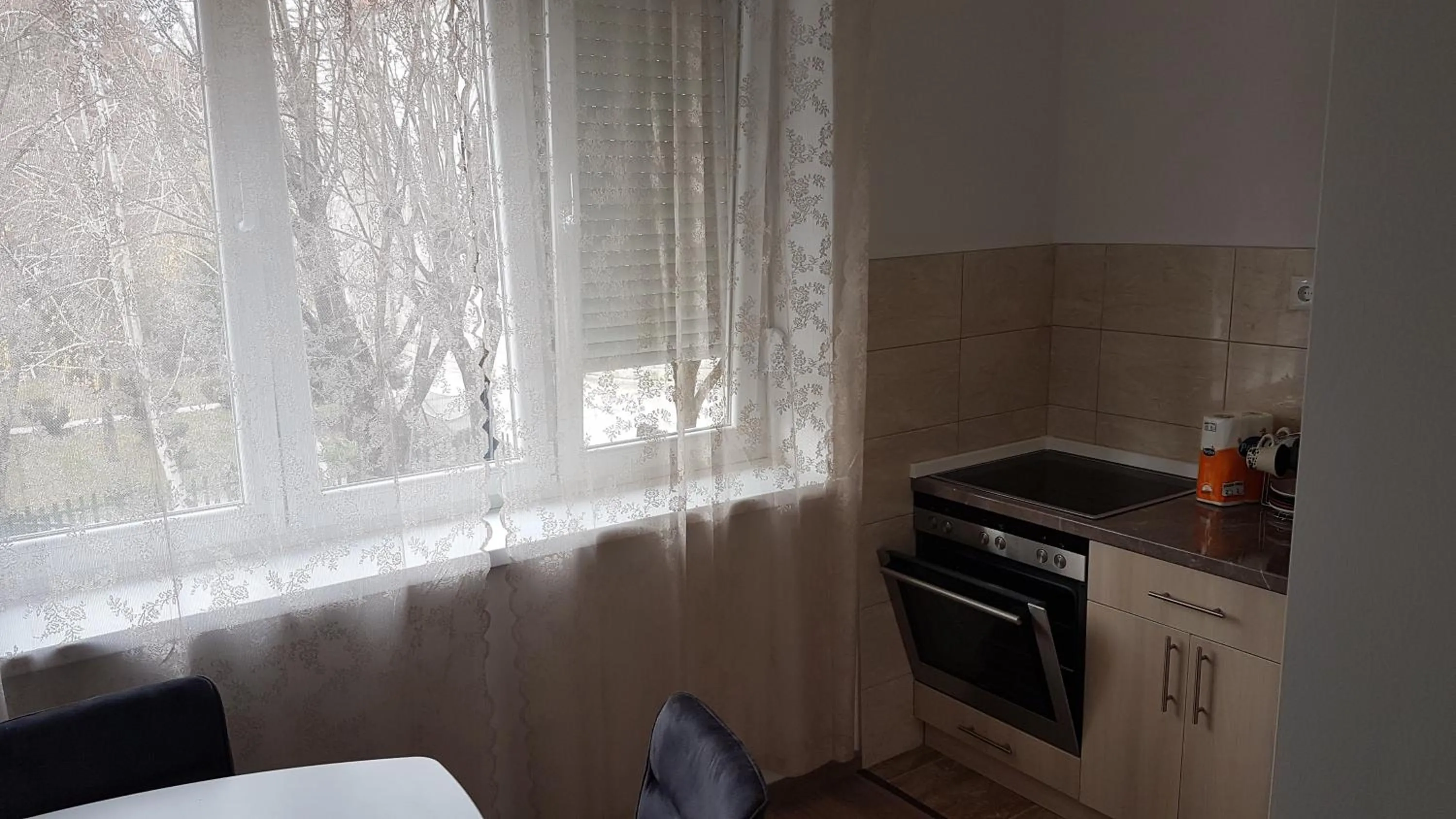 Kitchen or kitchenette in Apartment Bregovi