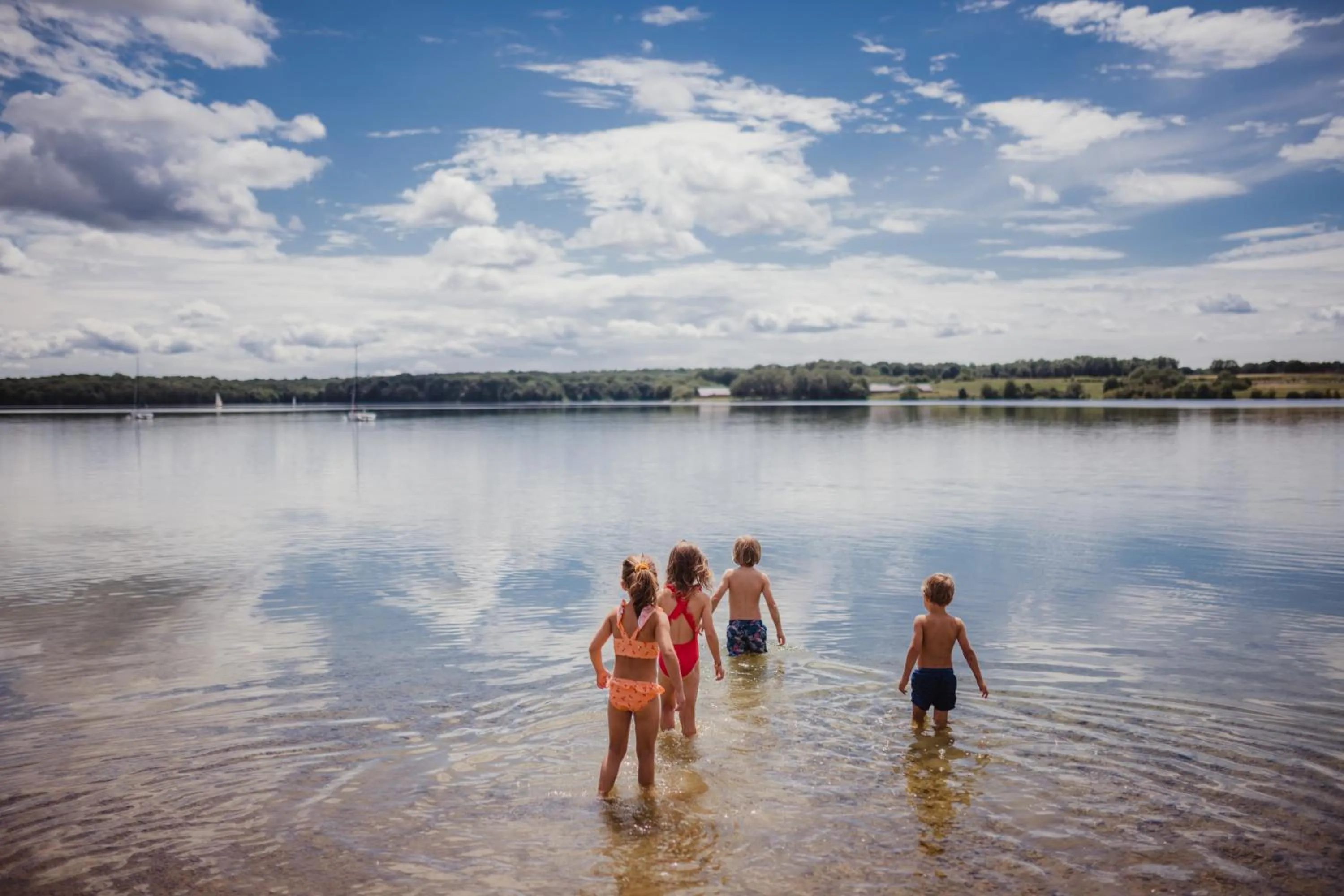 Natural landscape in Golden Lakes Village Ardennes