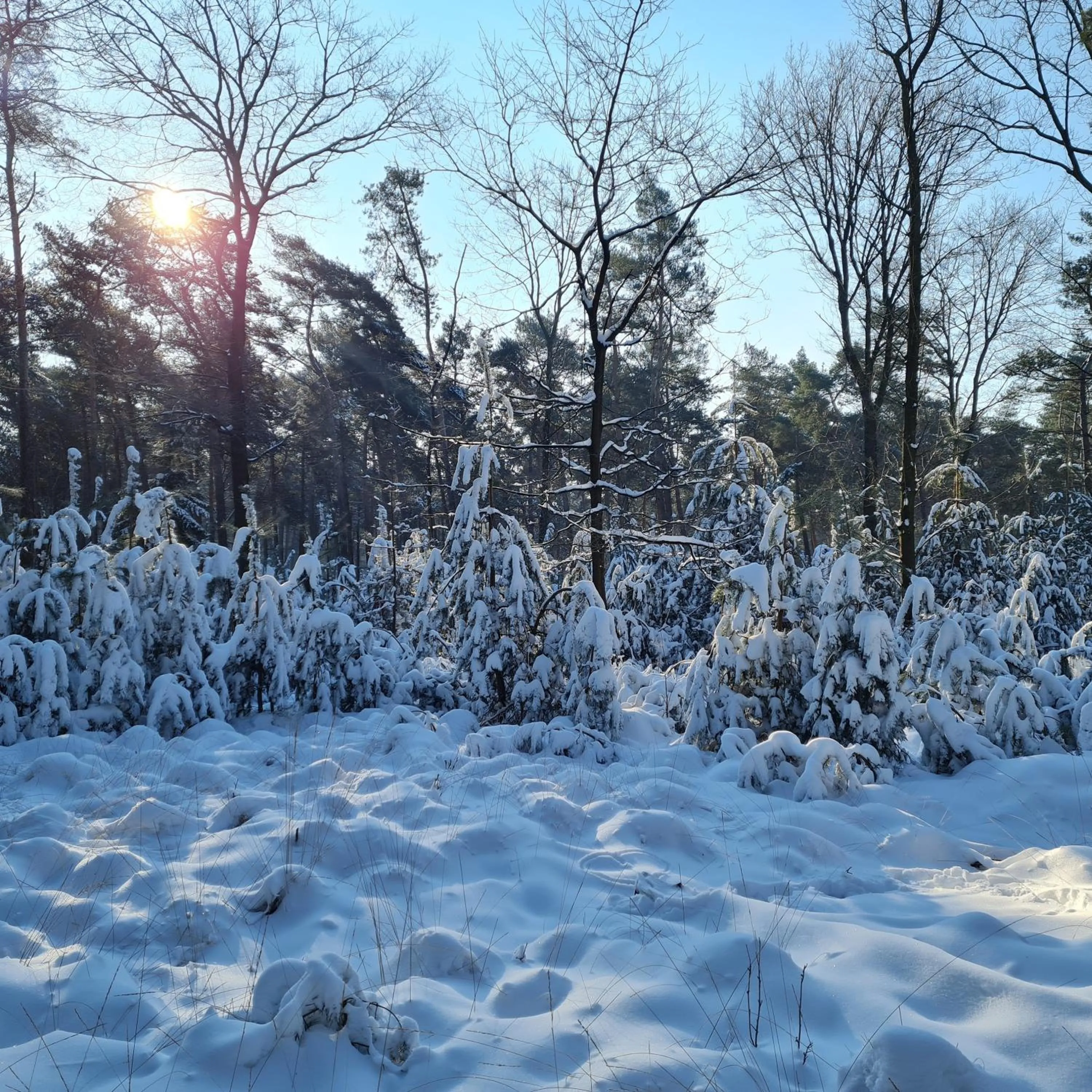 Natural landscape in B&B en vakantiehuis Helene Hoeve