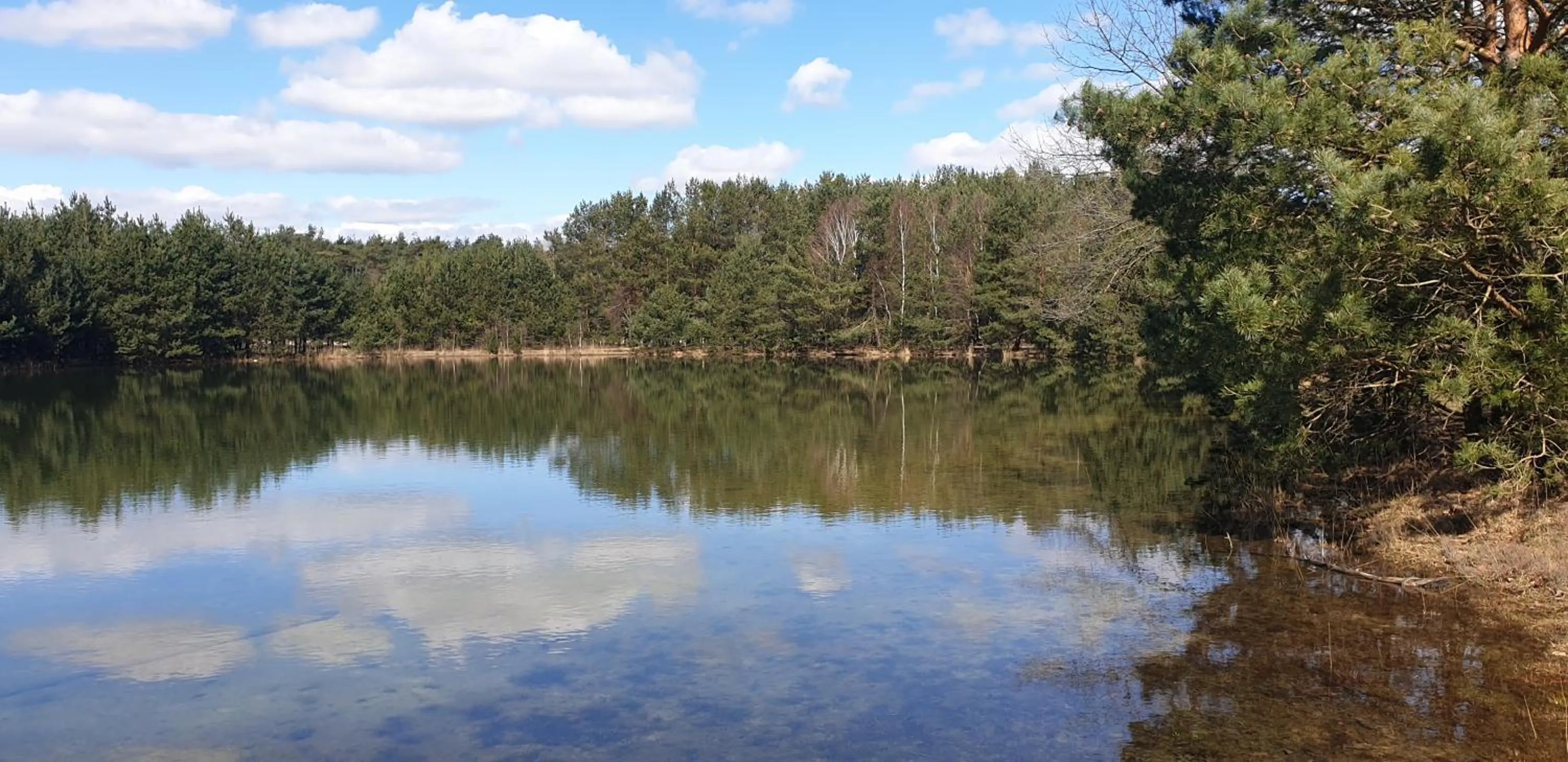 Natural landscape in B&B en vakantiehuis Helene Hoeve