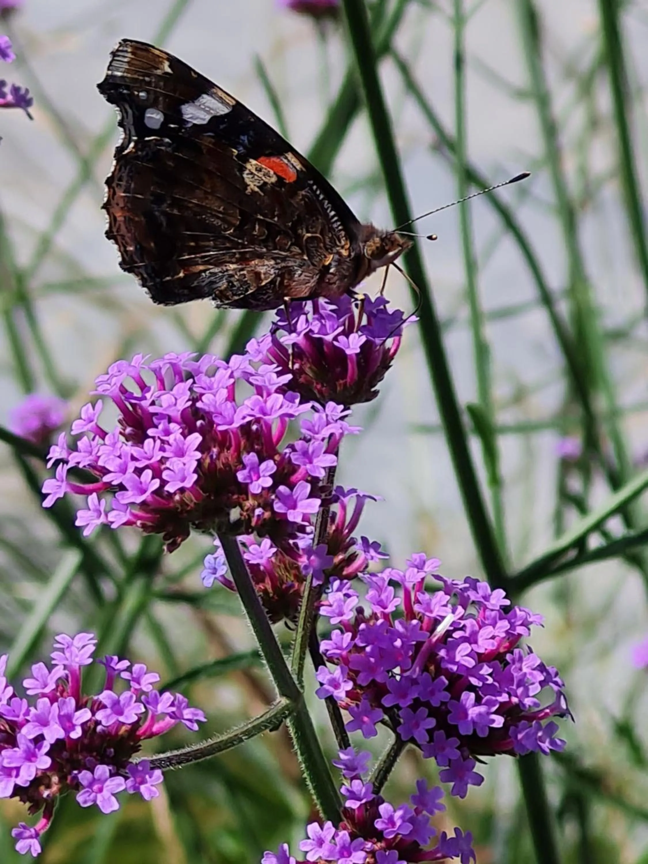 Natural landscape in B&B en vakantiehuis Helene Hoeve