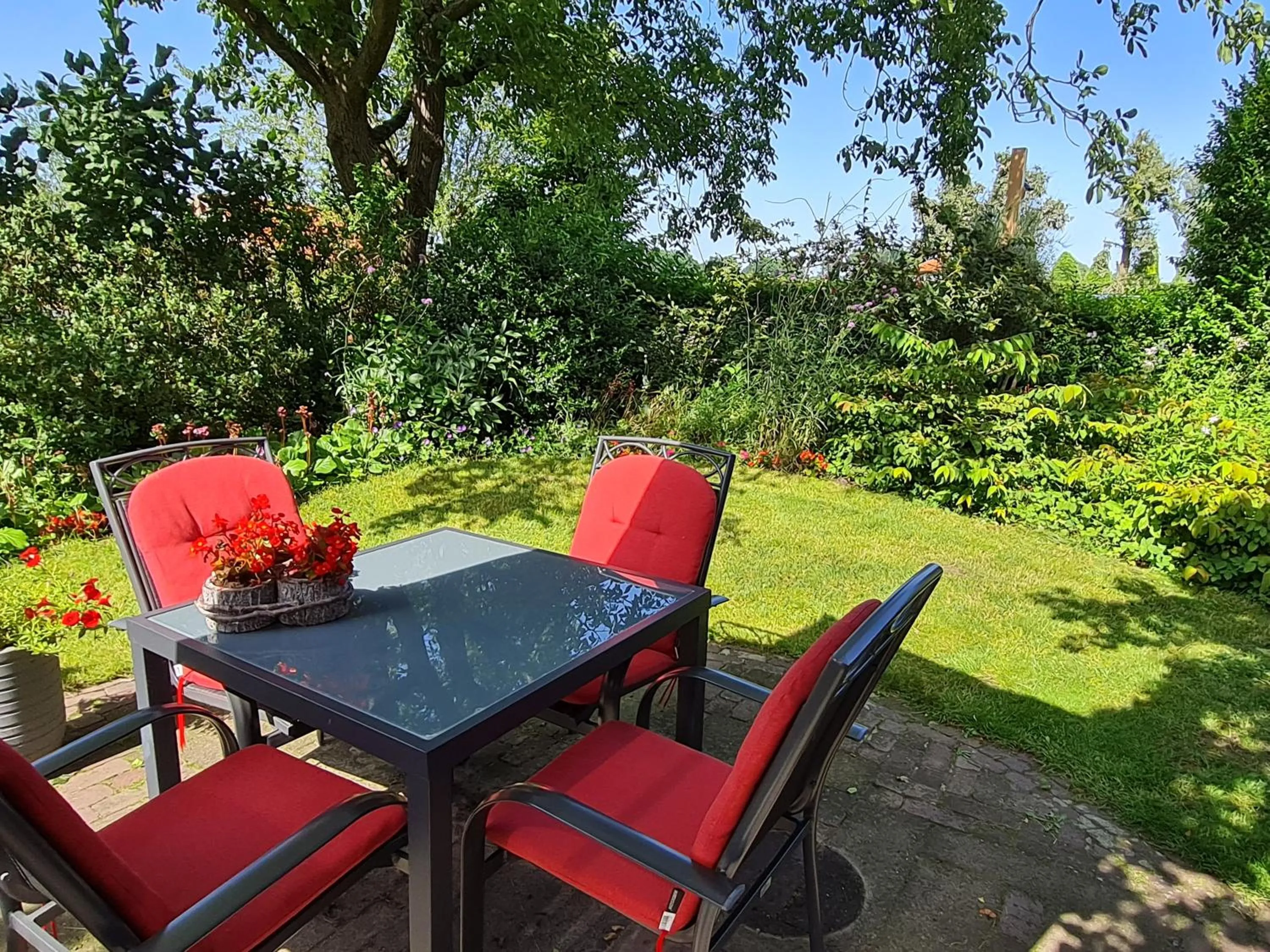 View (from property/room) in B&B en vakantiehuis Helene Hoeve