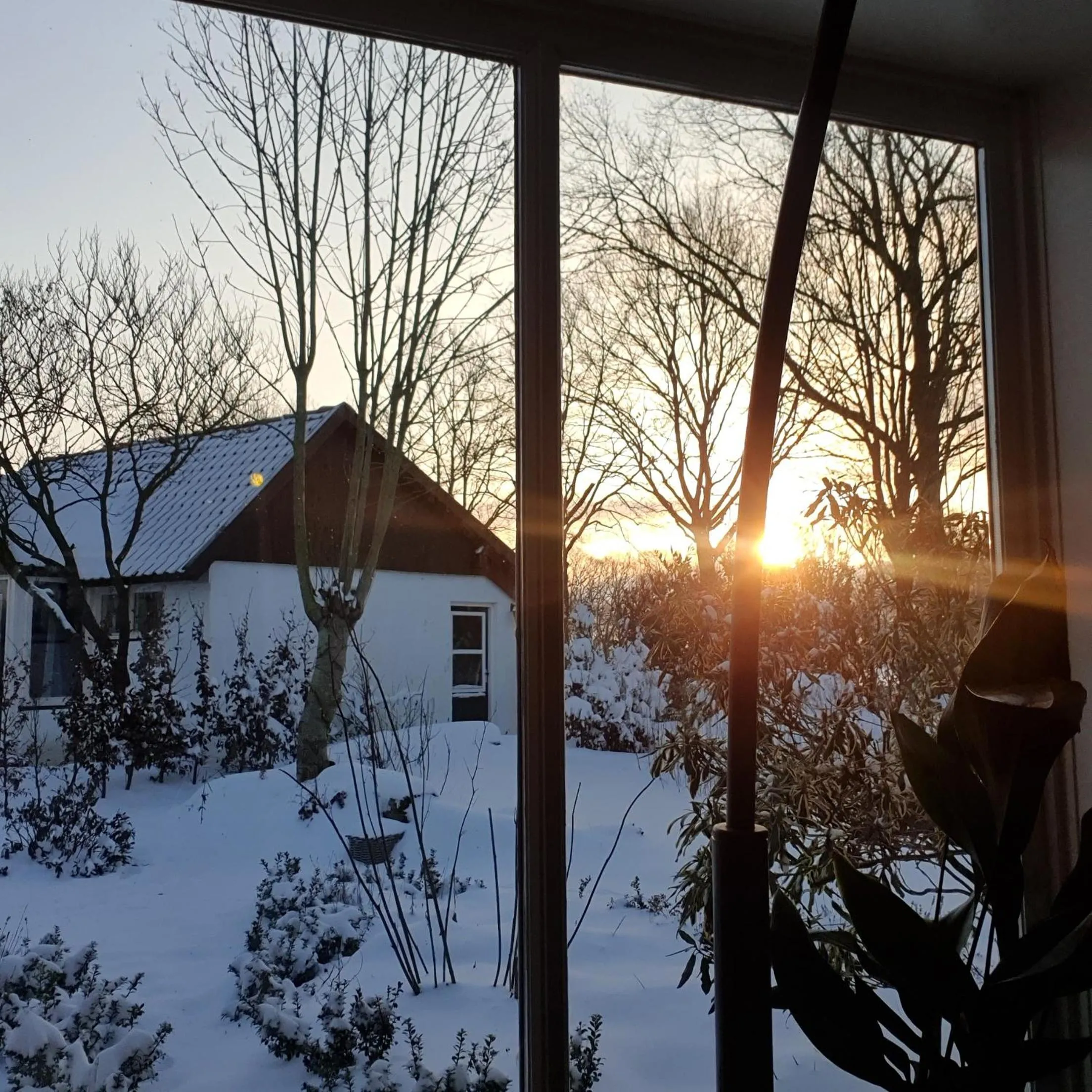 Property building in B&B en vakantiehuis Helene Hoeve