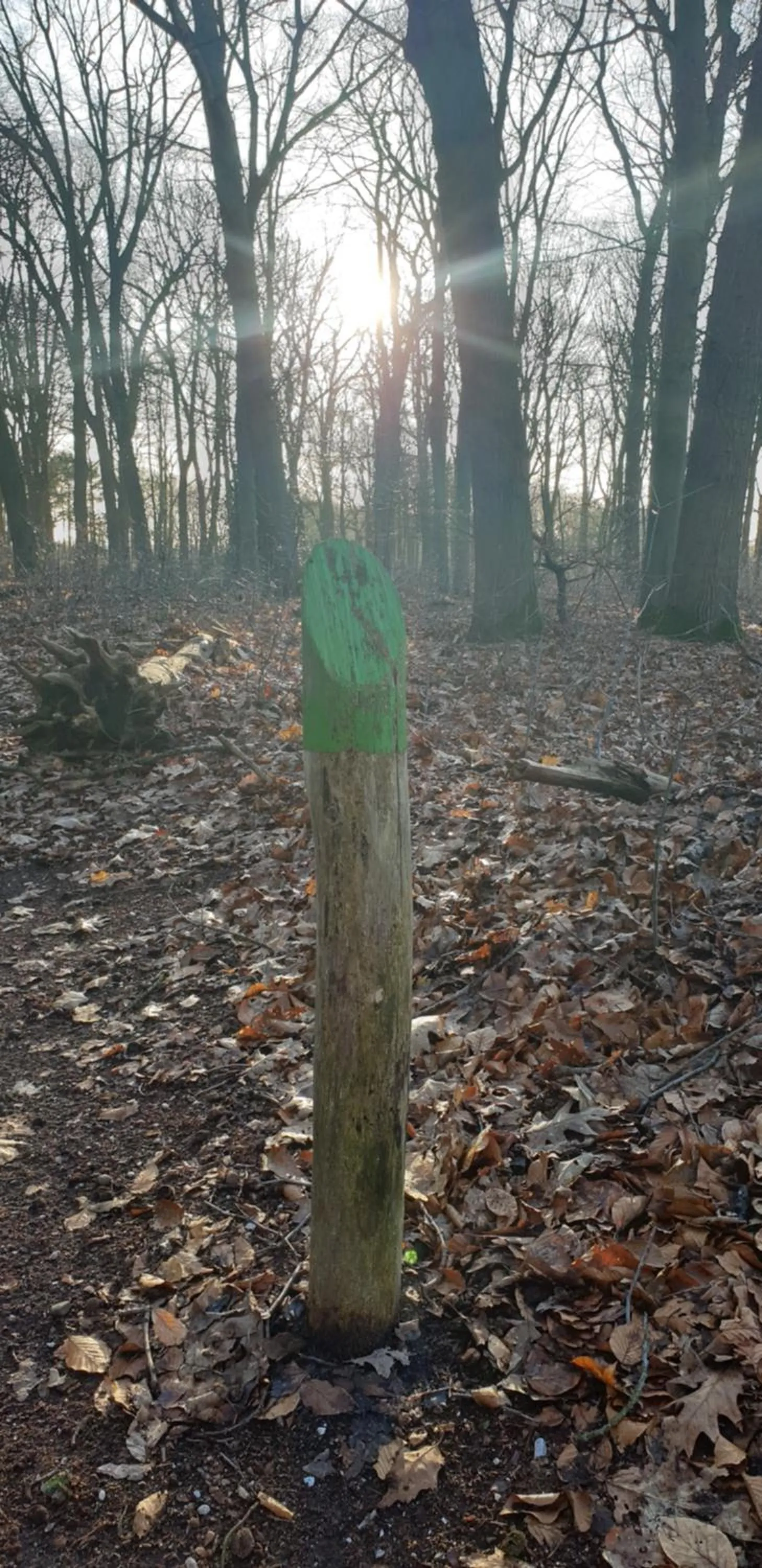 Neighbourhood in B&B en vakantiehuis Helene Hoeve