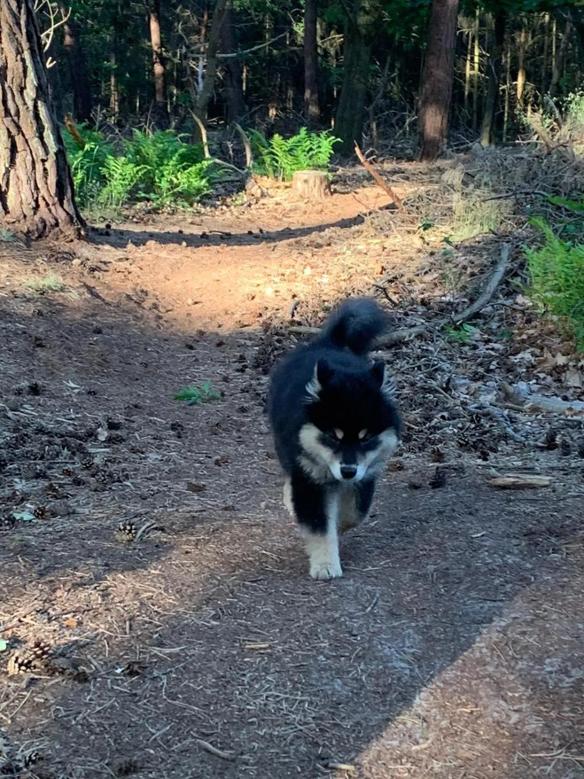 Day in B&B en vakantiehuis Helene Hoeve