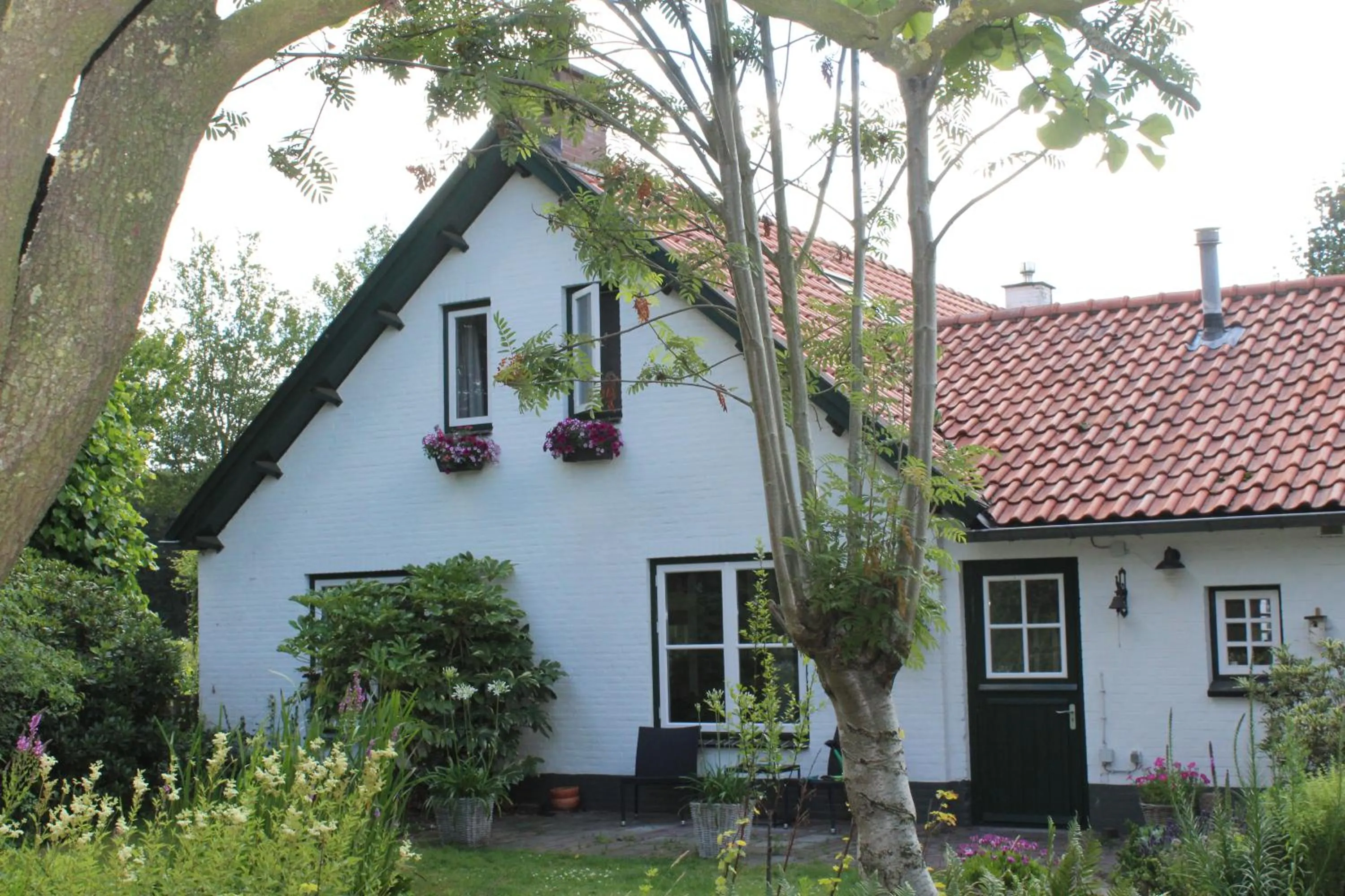 Property building in B&B en vakantiehuis Helene Hoeve