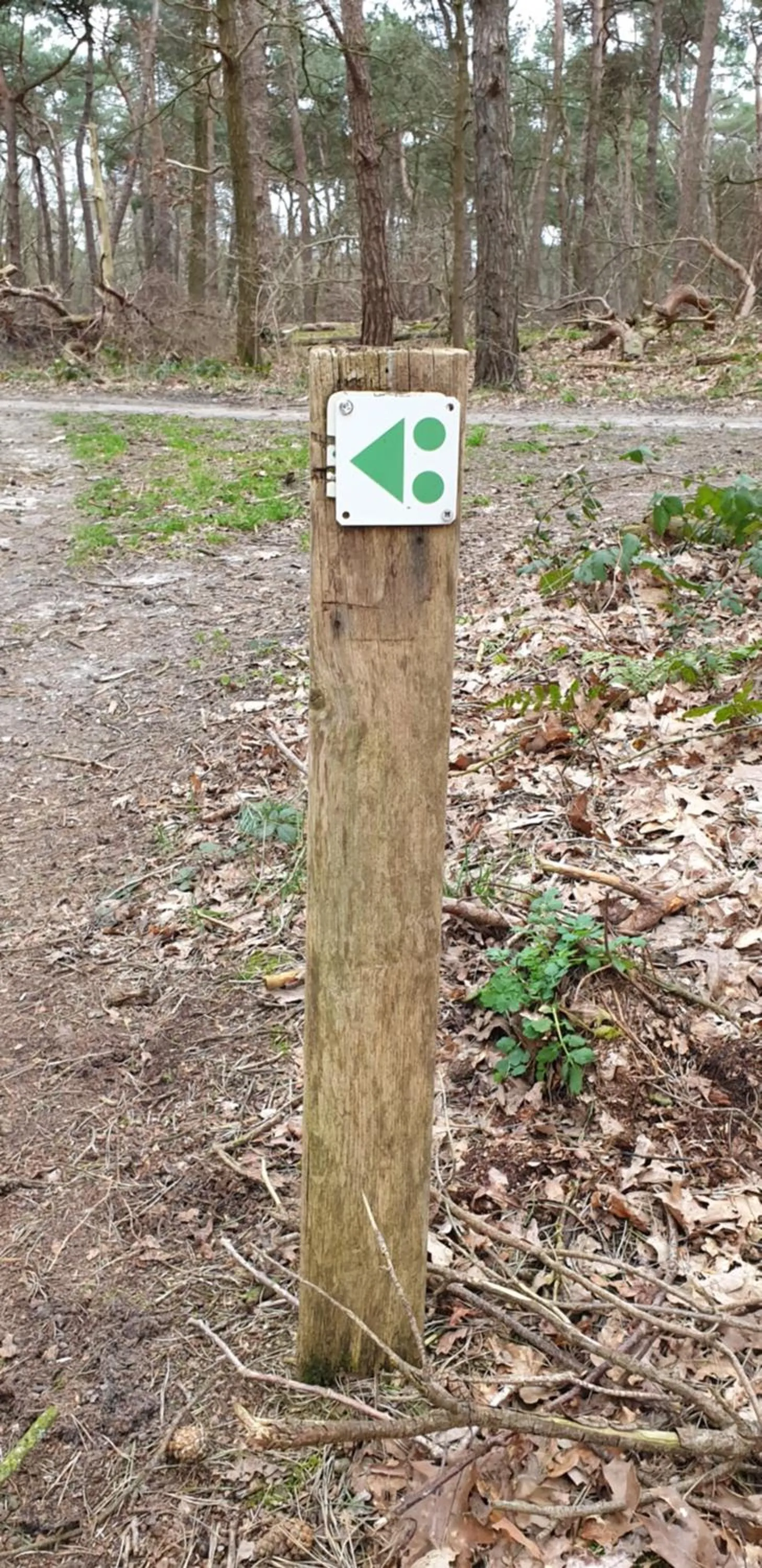 Natural landscape in B&B en vakantiehuis Helene Hoeve