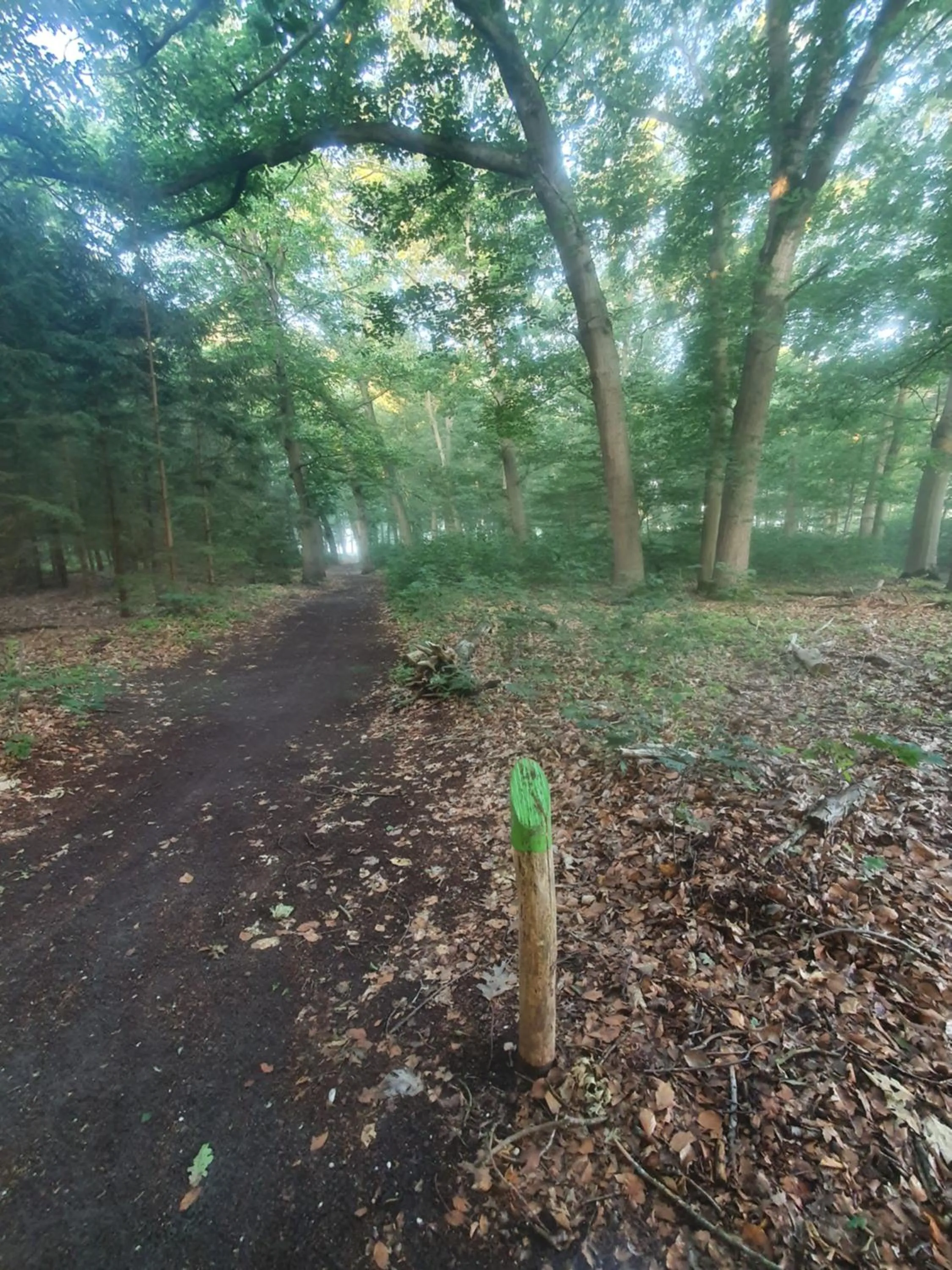 Natural landscape in B&B en vakantiehuis Helene Hoeve