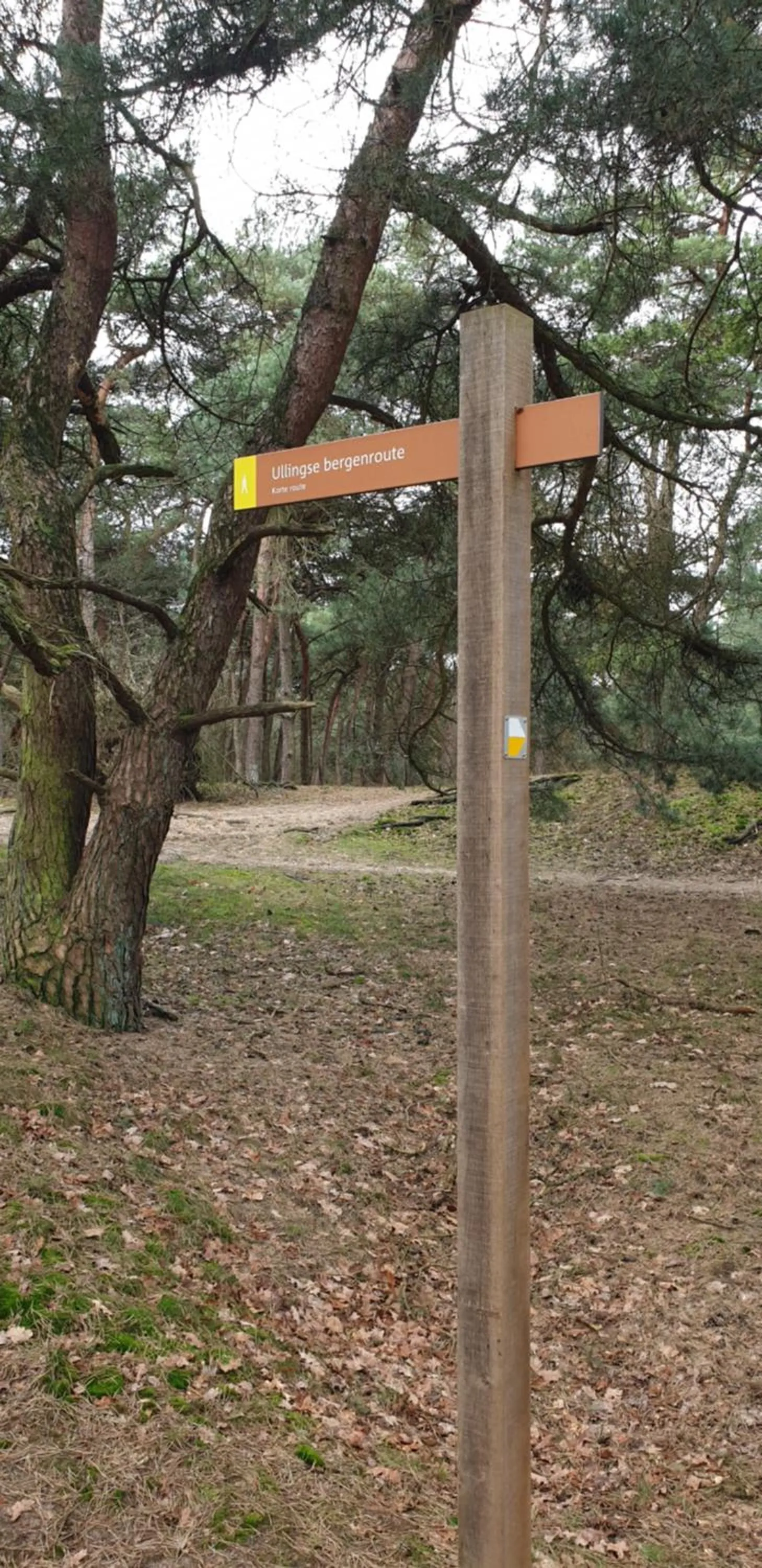 Natural landscape in B&B en vakantiehuis Helene Hoeve