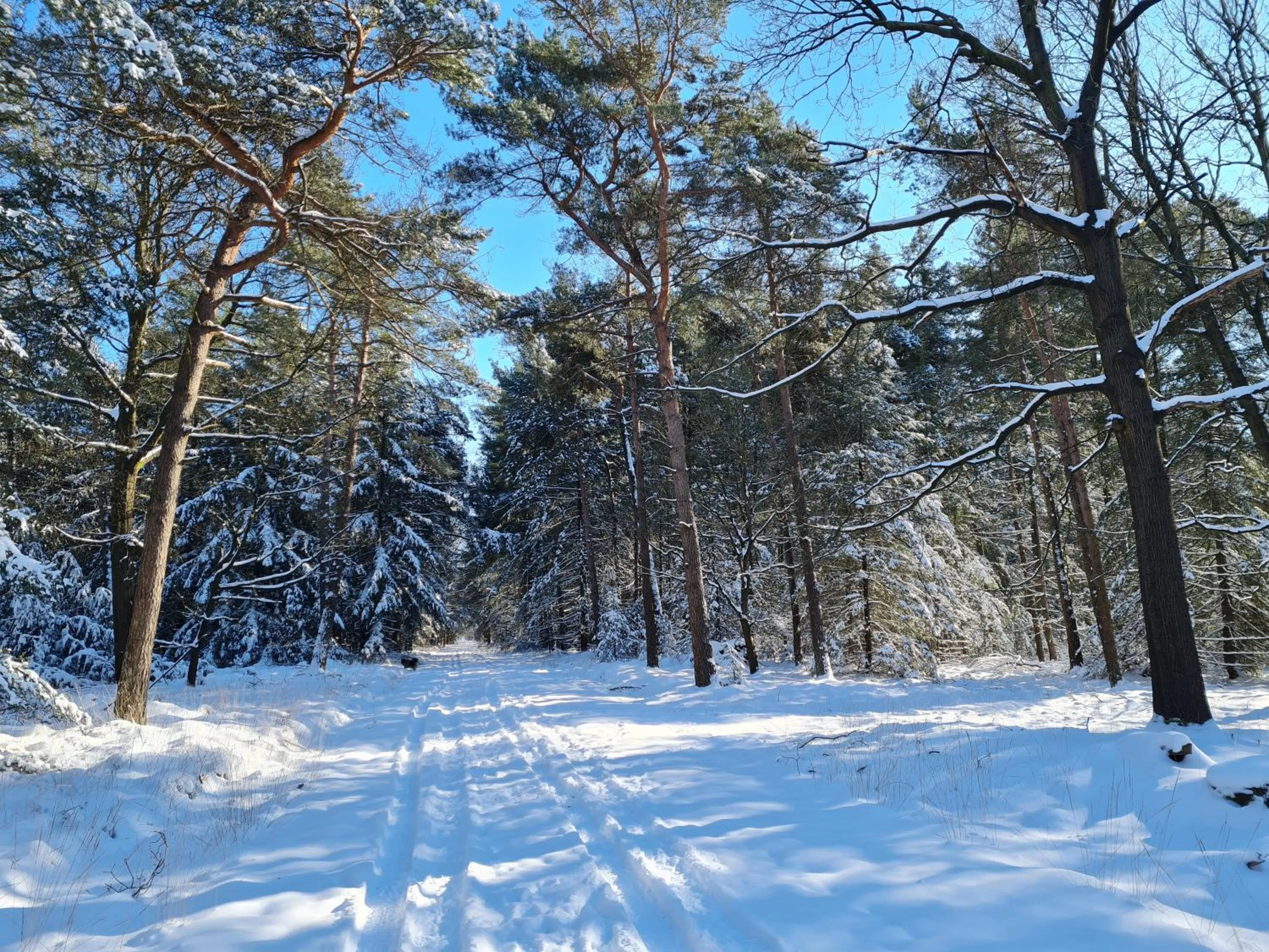 Natural landscape in B&B en vakantiehuis Helene Hoeve