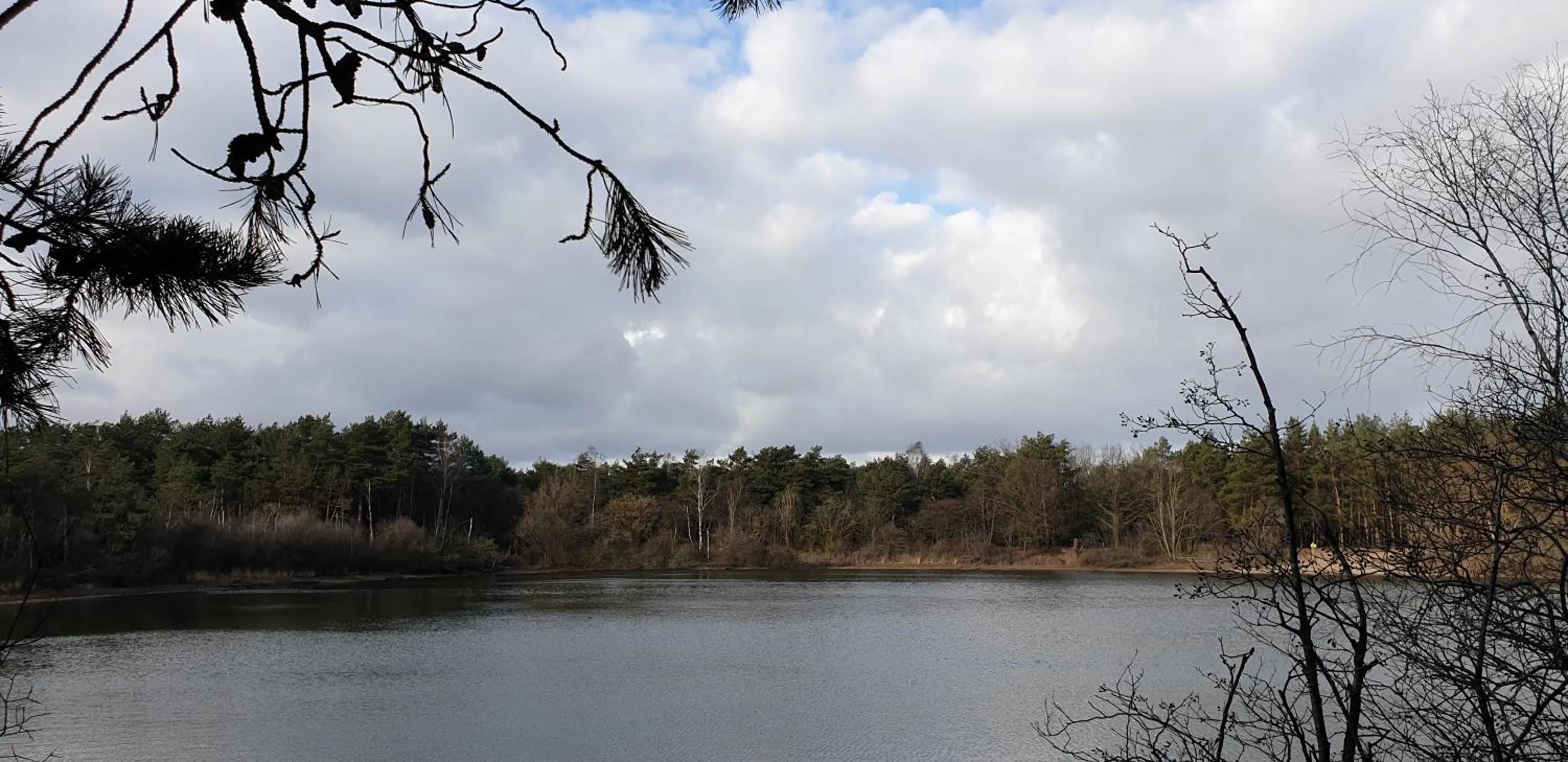 Natural landscape in B&B en vakantiehuis Helene Hoeve