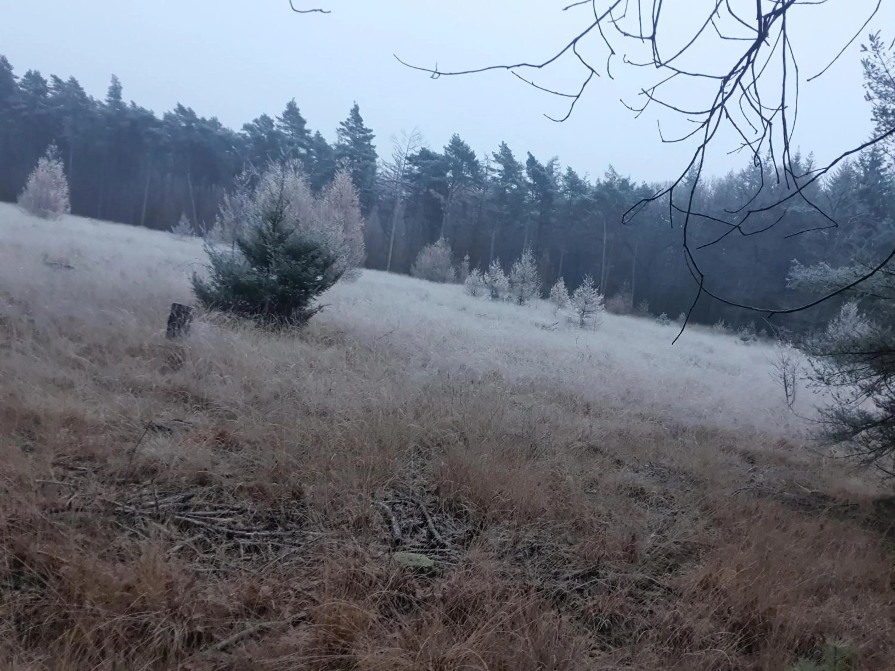 Natural landscape in B&B en vakantiehuis Helene Hoeve