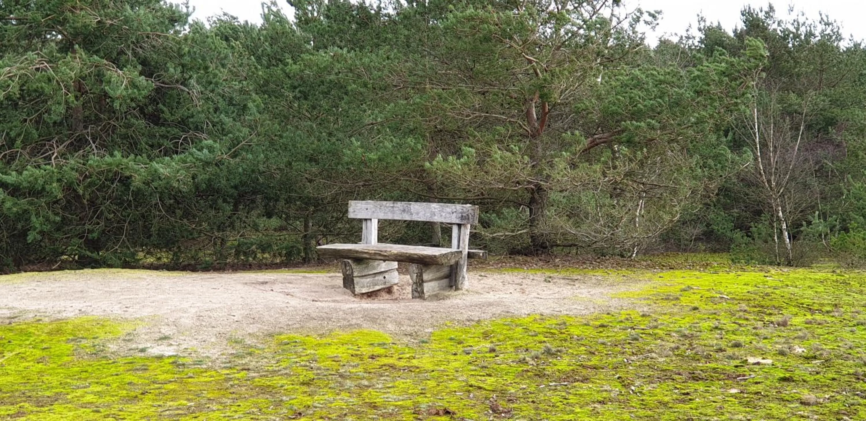 Natural landscape in B&B en vakantiehuis Helene Hoeve