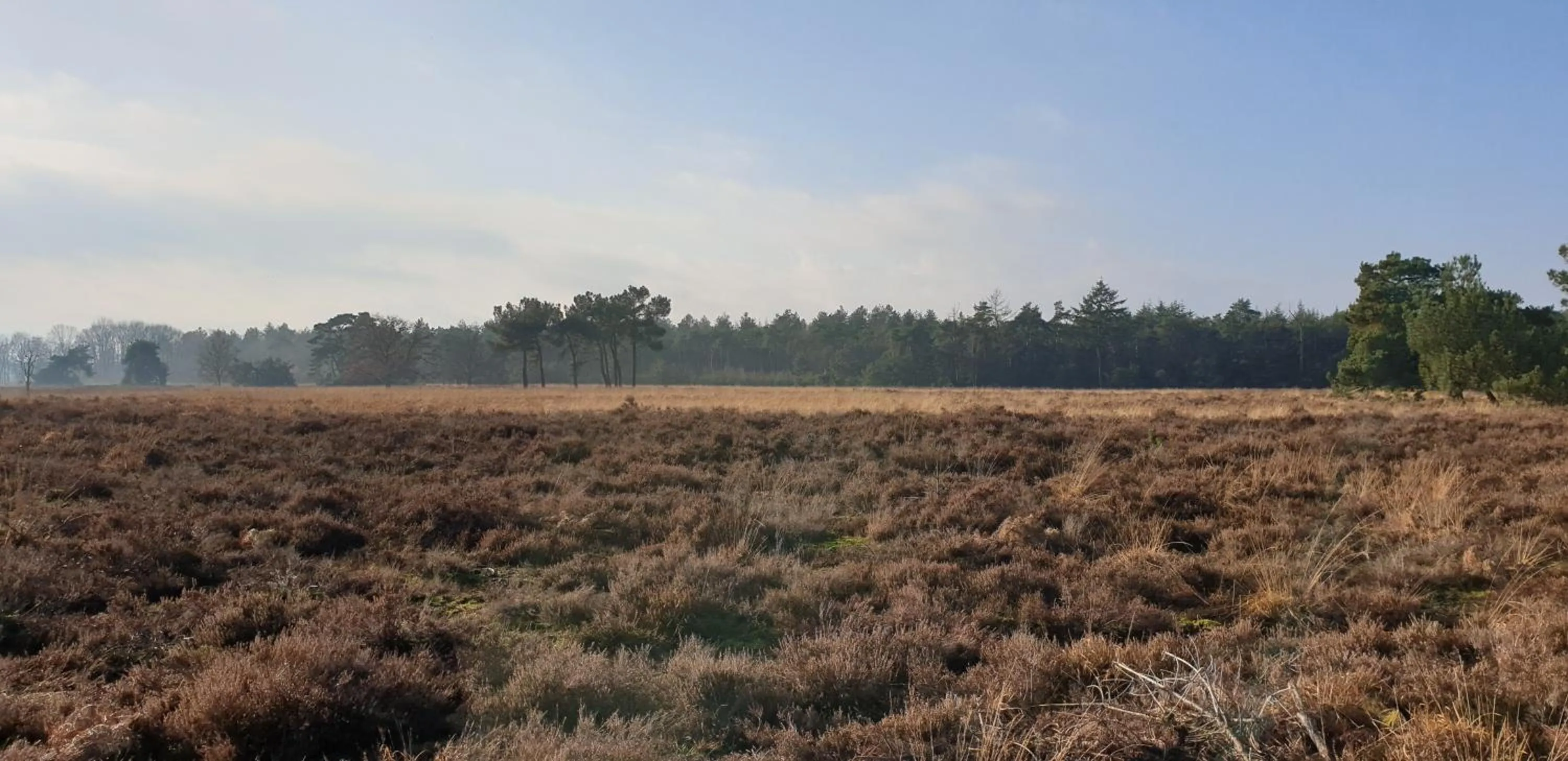 Nearby landmark in B&B en vakantiehuis Helene Hoeve