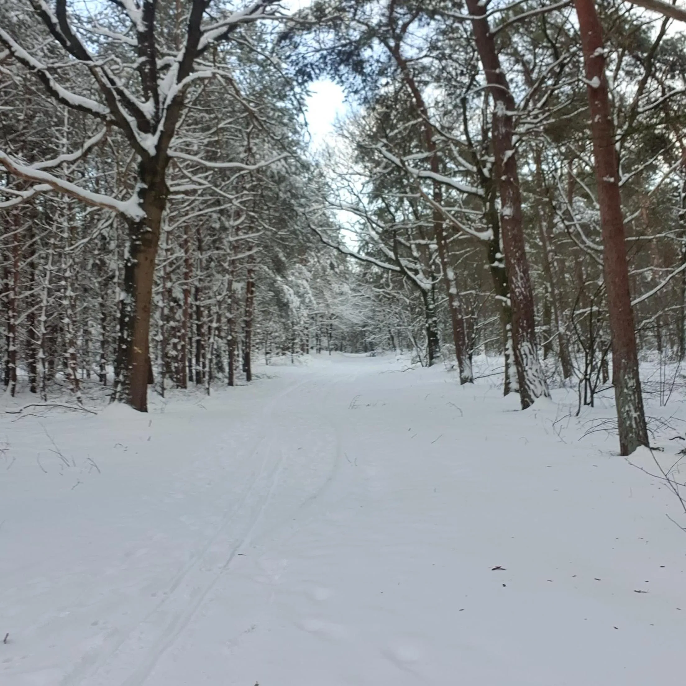 Natural landscape in B&B en vakantiehuis Helene Hoeve