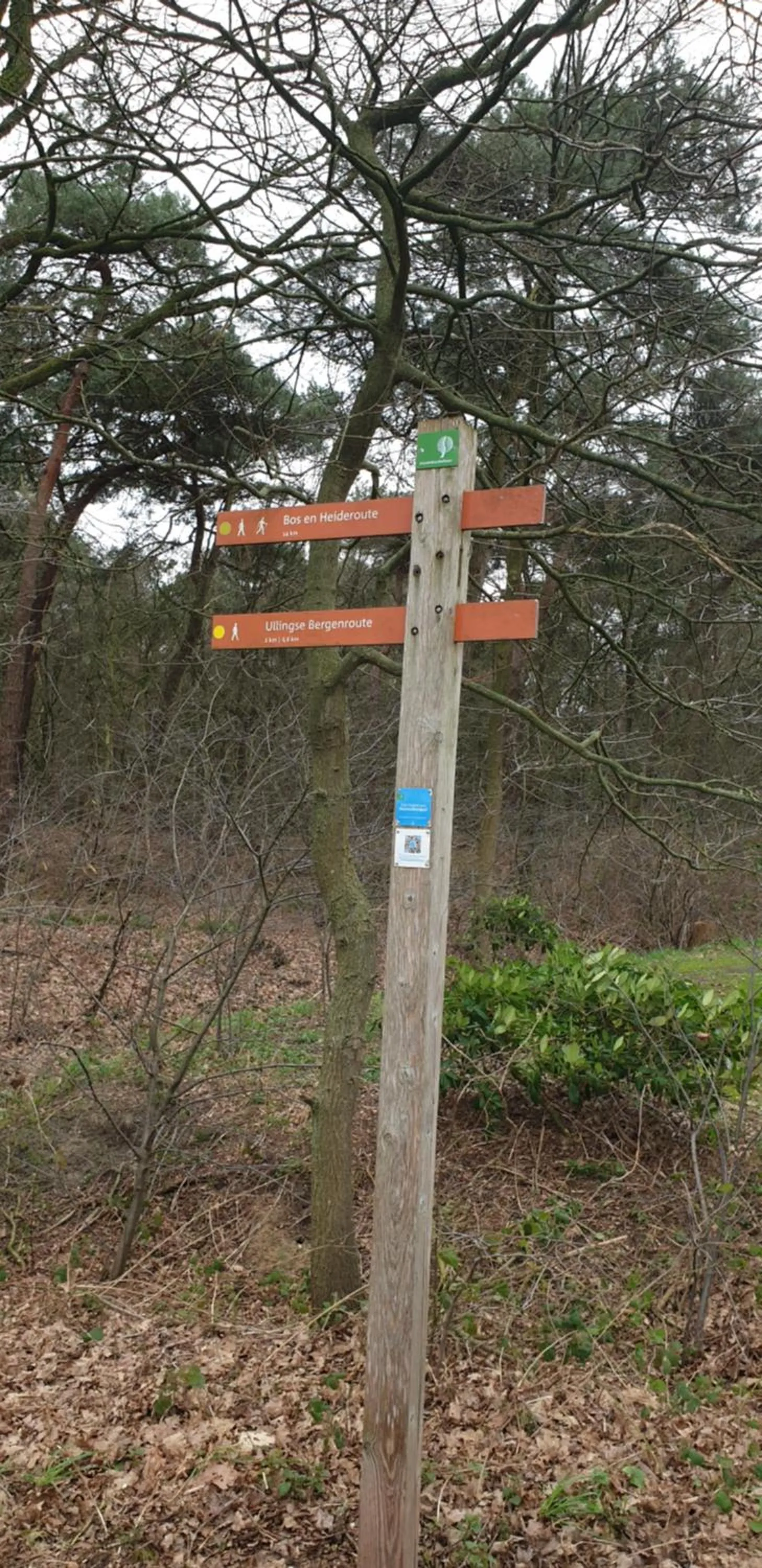 Natural landscape in B&B en vakantiehuis Helene Hoeve