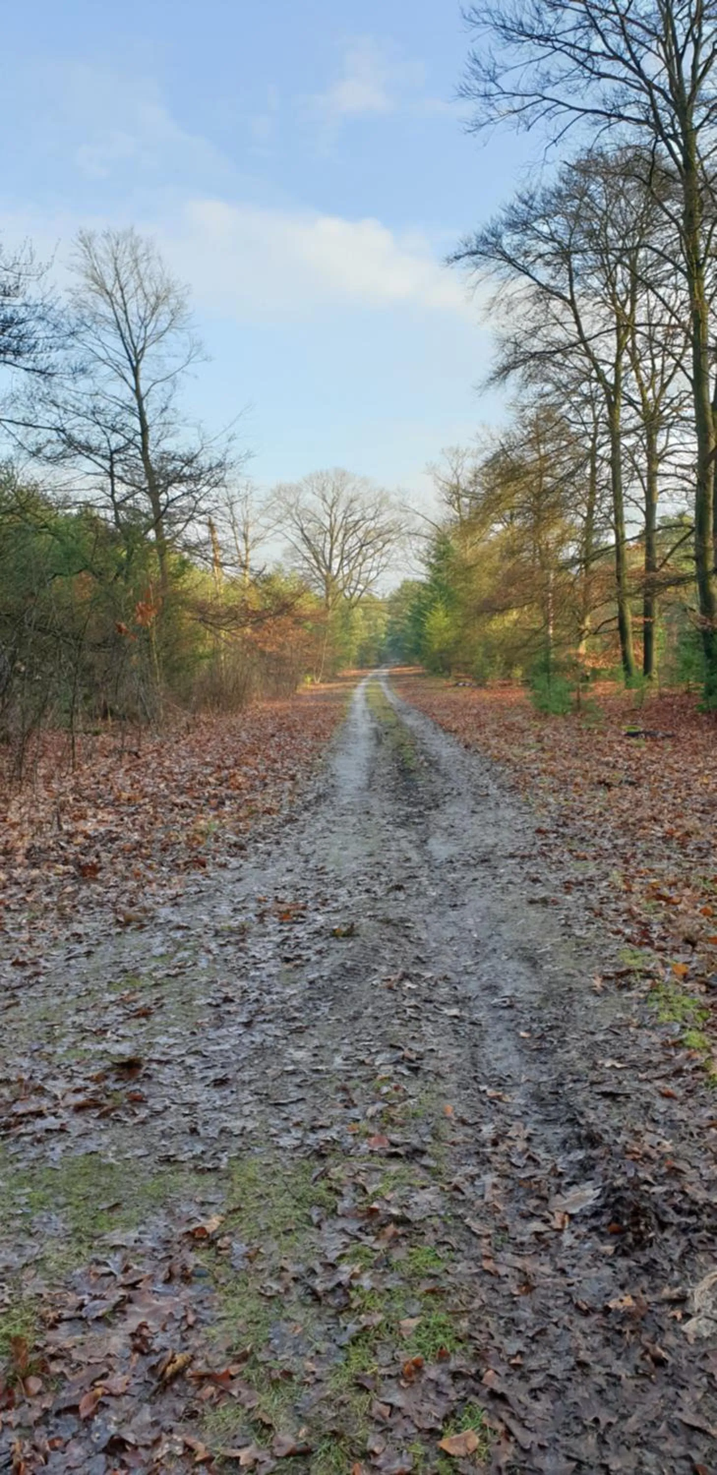 Nearby landmark in B&B en vakantiehuis Helene Hoeve