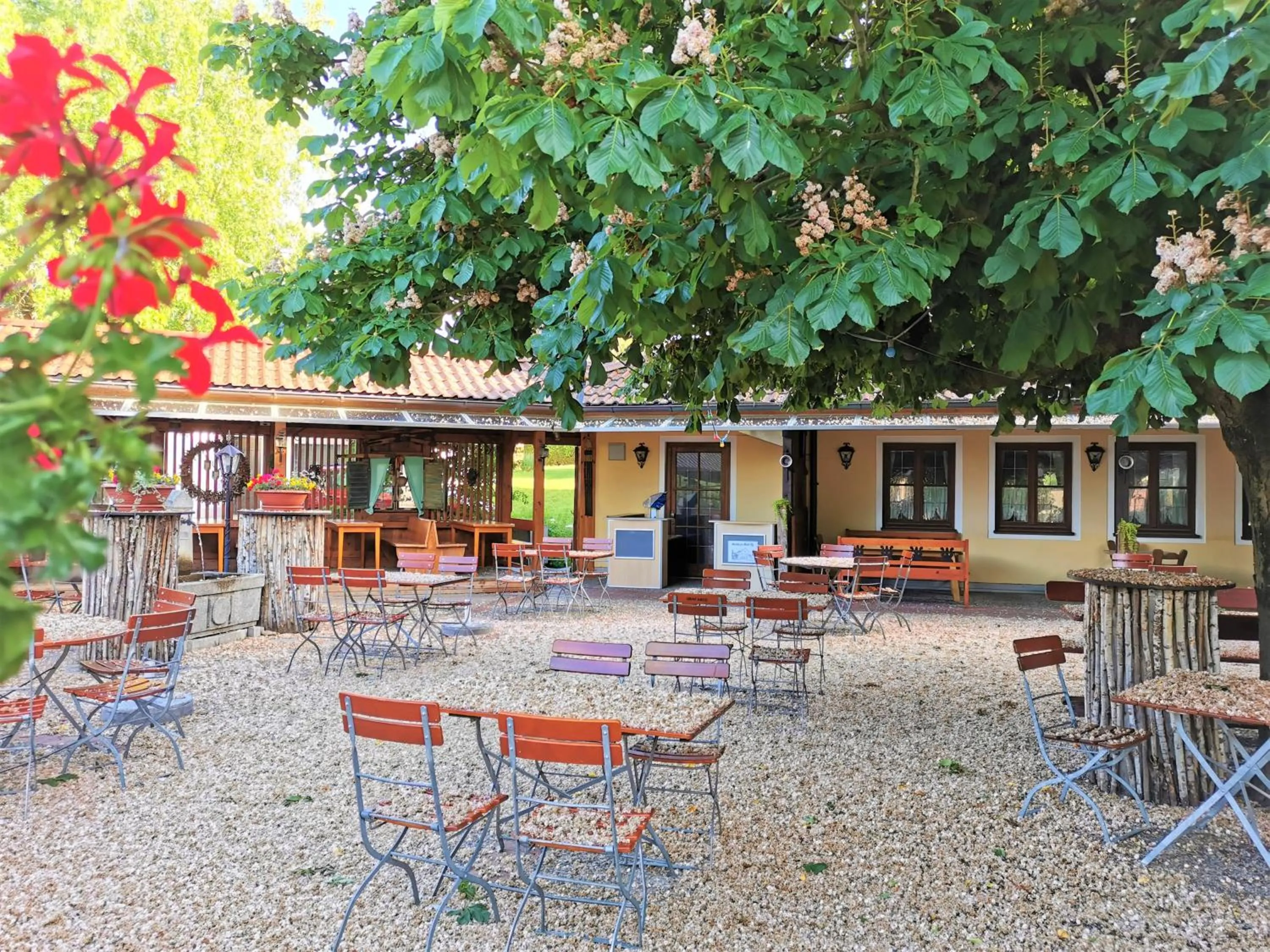 Restaurant/places to eat in Zur Mühle