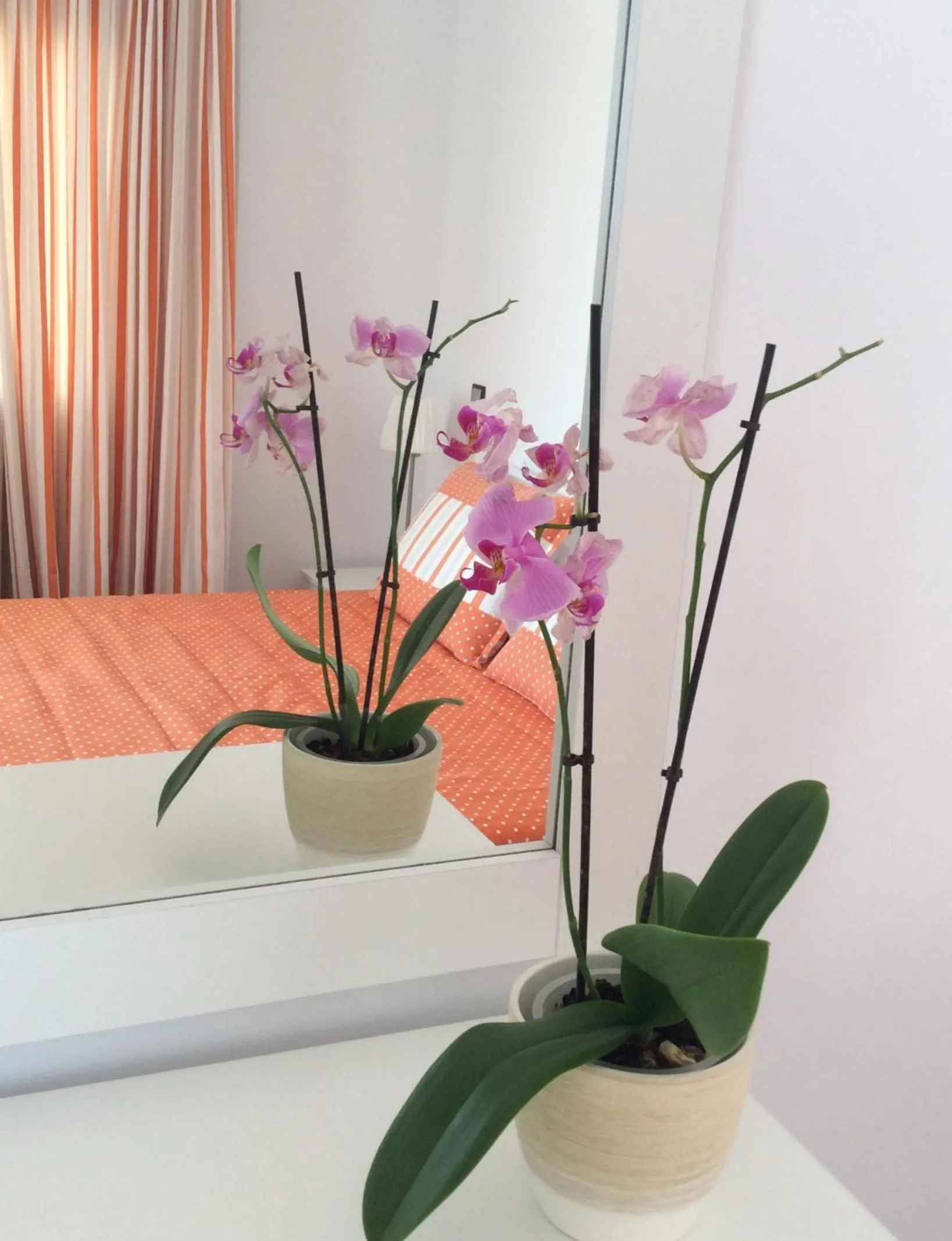 Decorative detail, Bed in Katerina Apartments & Studios