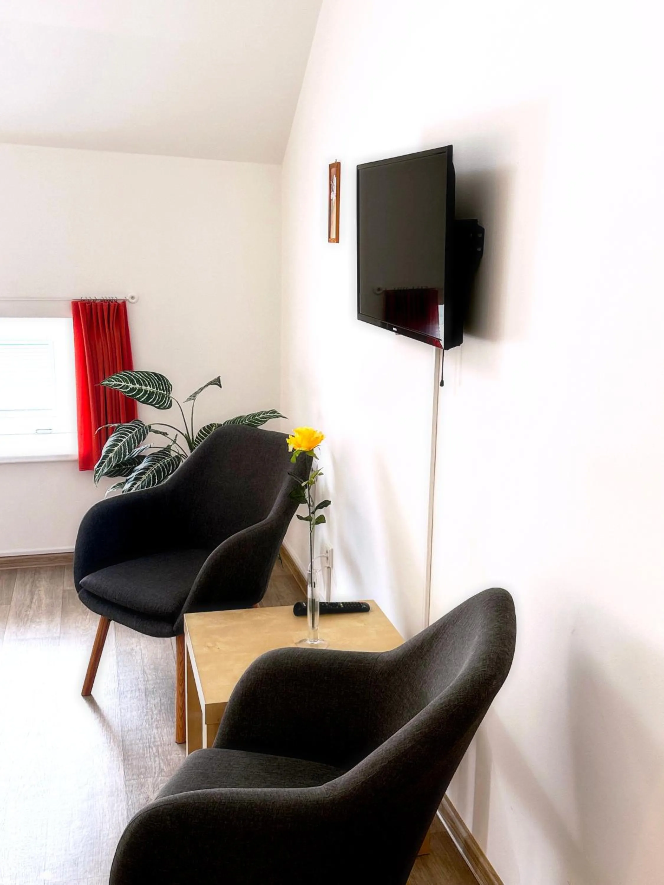 TV and multimedia in Penzion U Hradeb