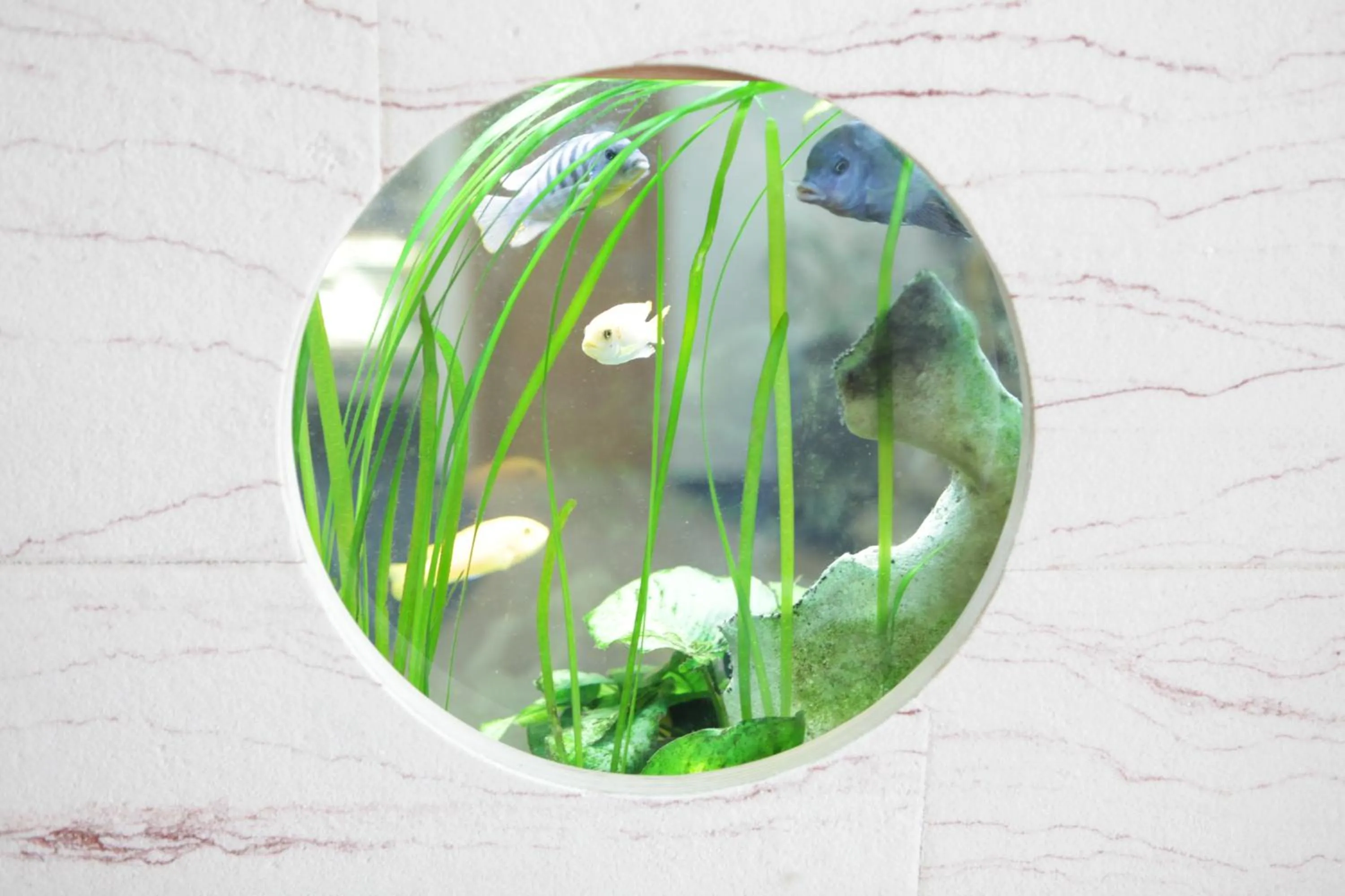 Lobby or reception in Stadthotel Kassel