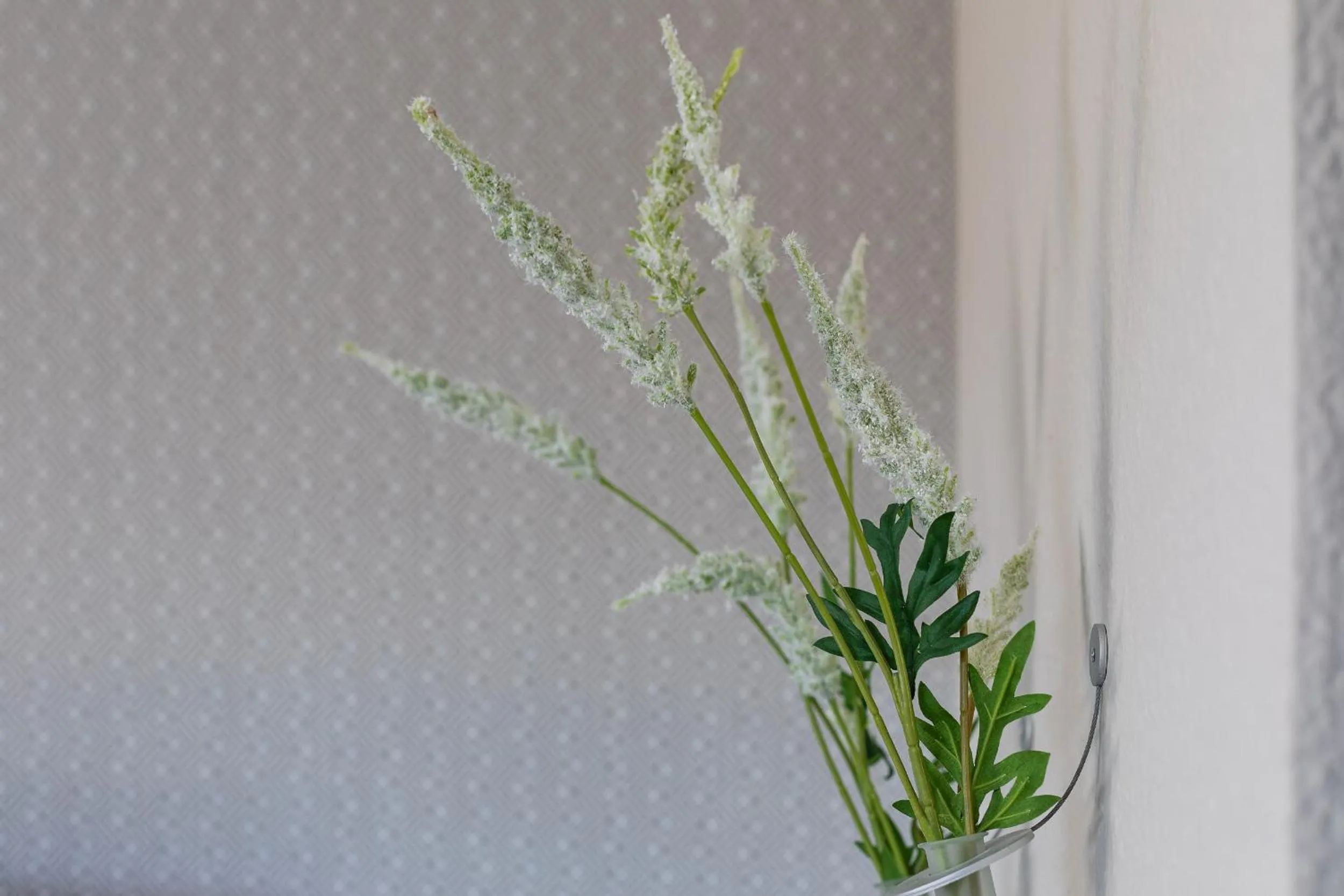 Photo of the whole room in Ganter Hotel & Restaurant Mohren