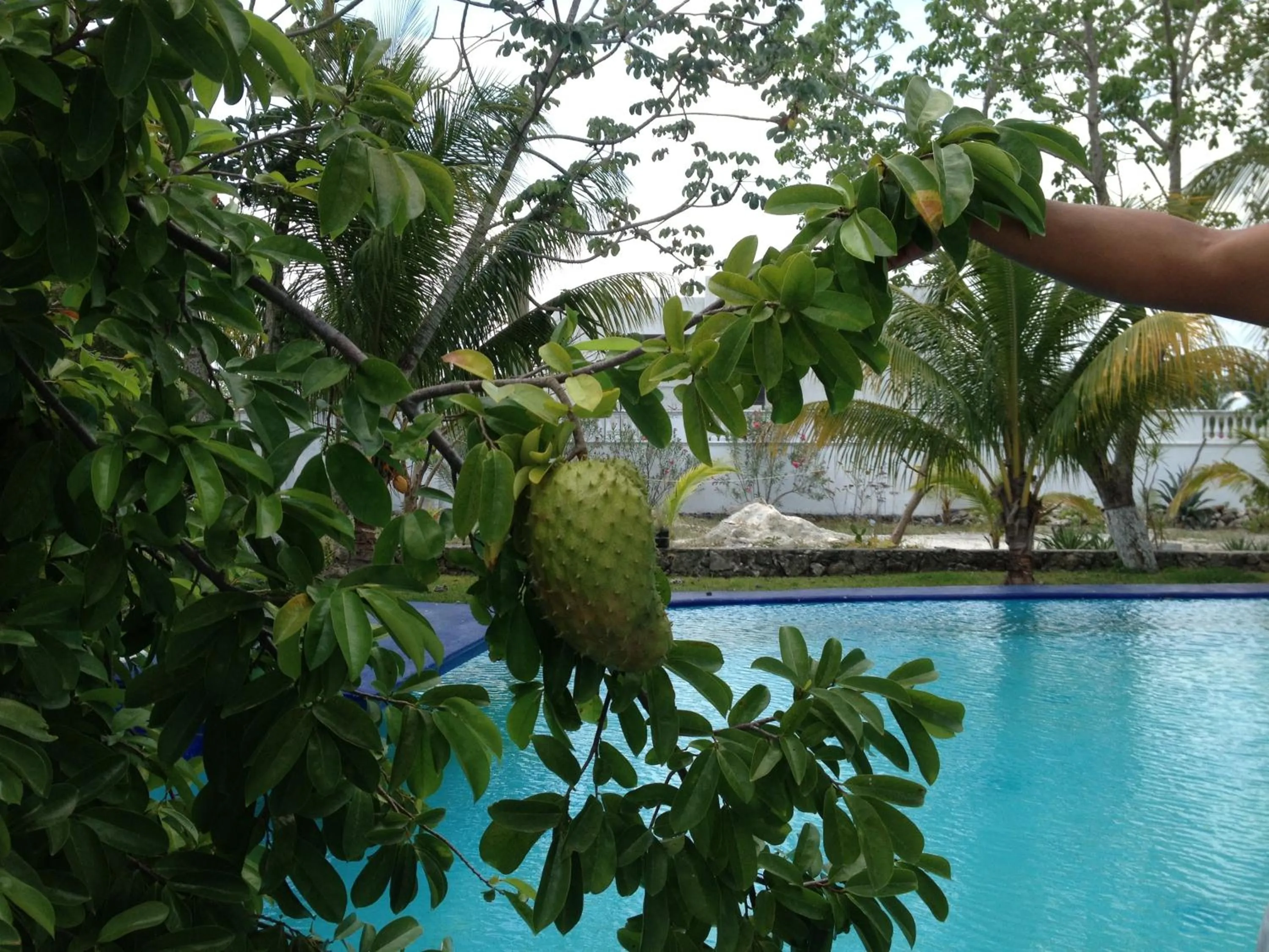 Swimming pool in Mansion Giahn Bed & Breakfast