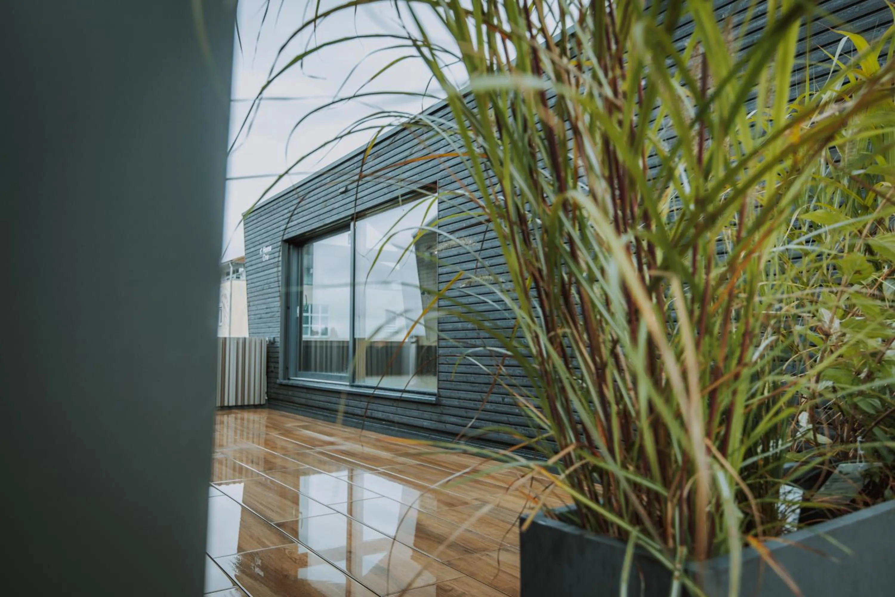 Photo of the whole room in Nordhäuser Fürstenhof & TinySky-Resort