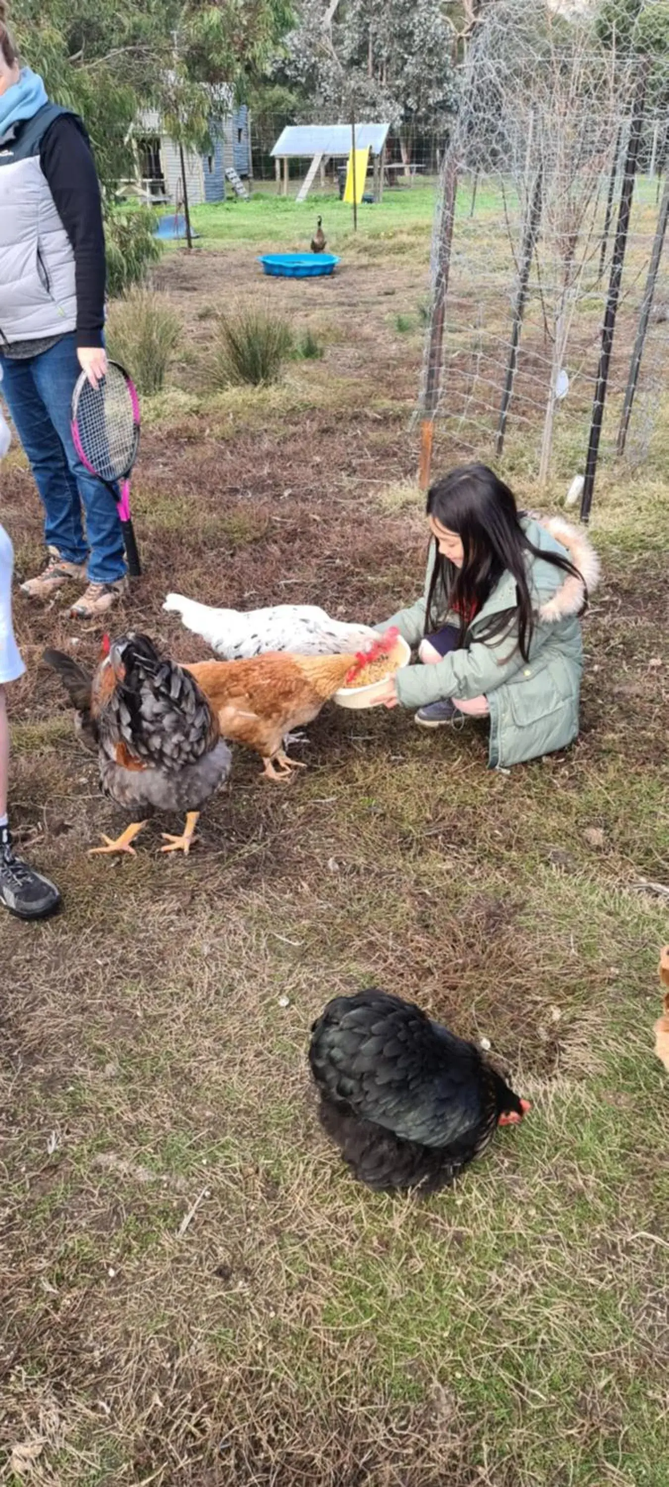 Animals in Halls Haven Holiday Units Animals in Halls Haven Holiday Units