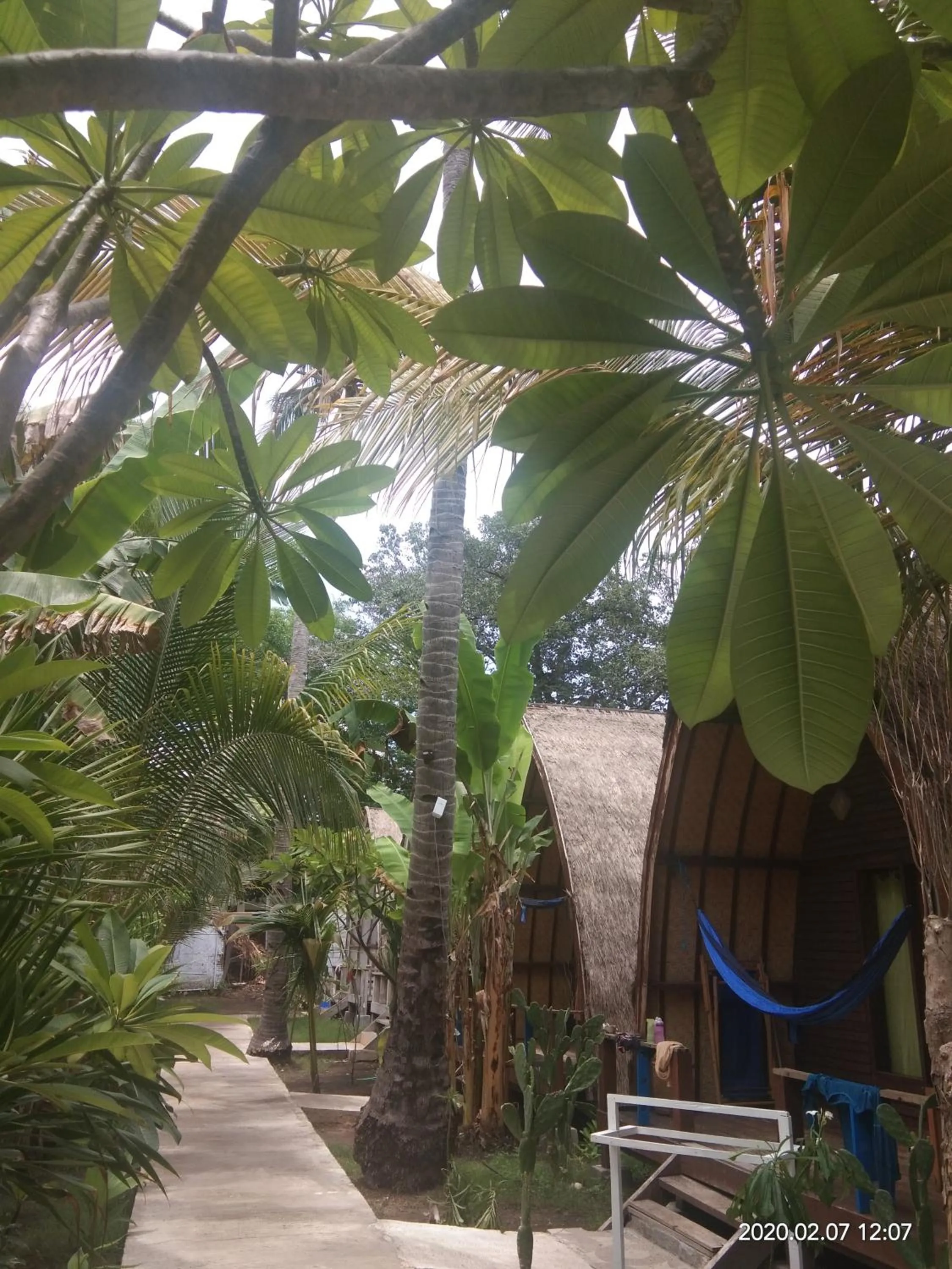 Star Bar and Bungalows