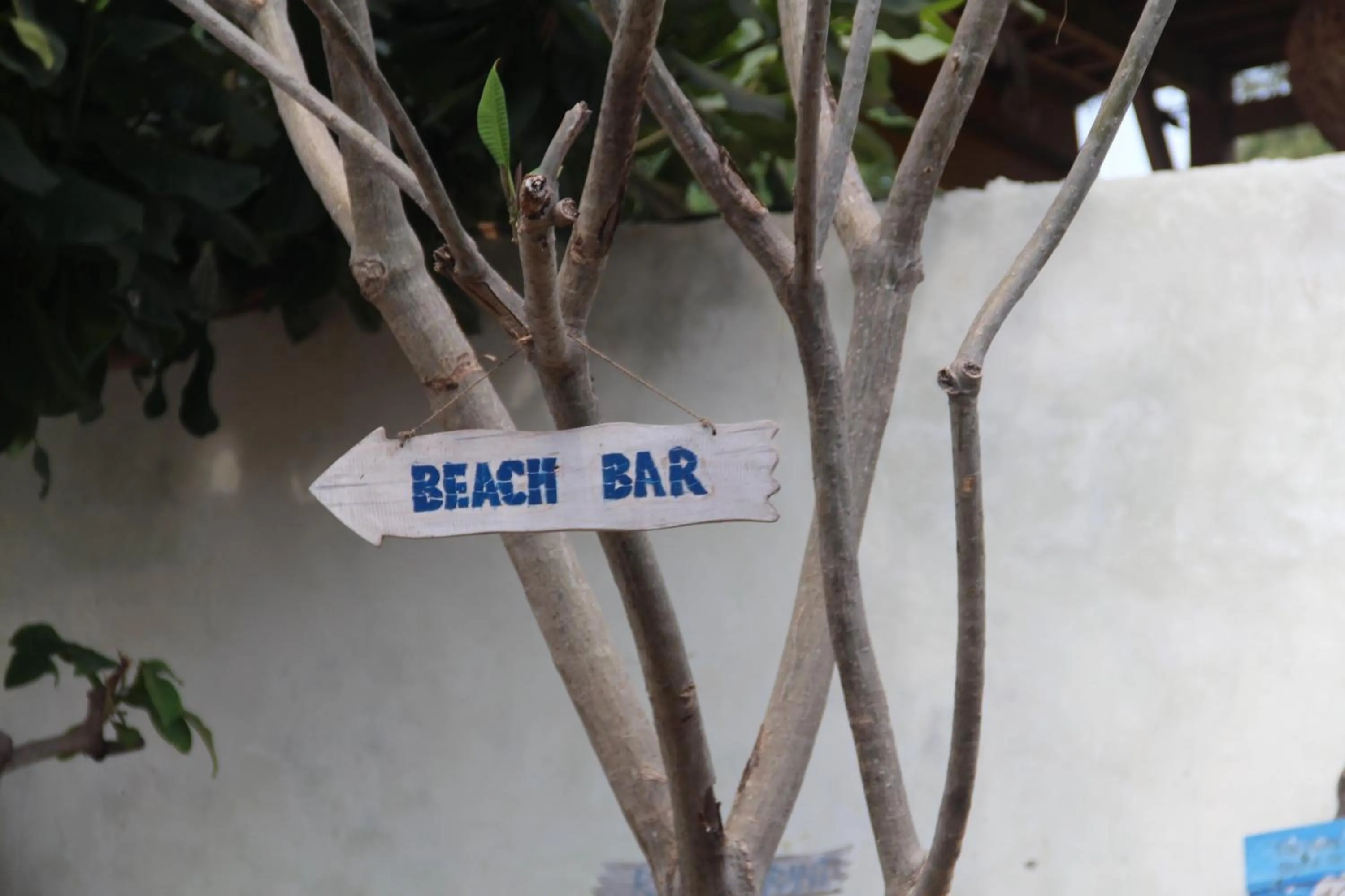 Star Bar and Bungalows