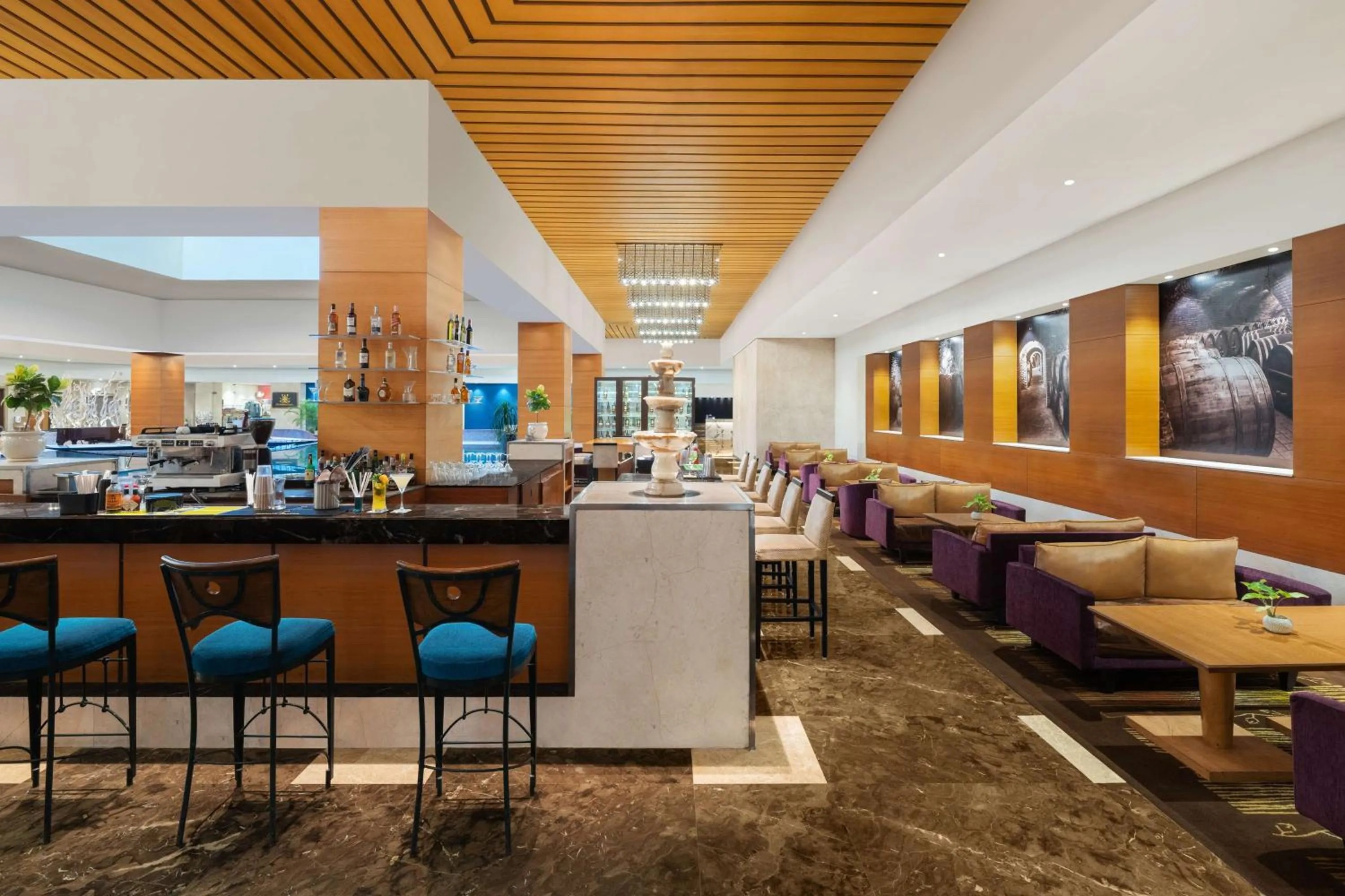 Lounge or bar in Radisson Blu Hotel Ranchi