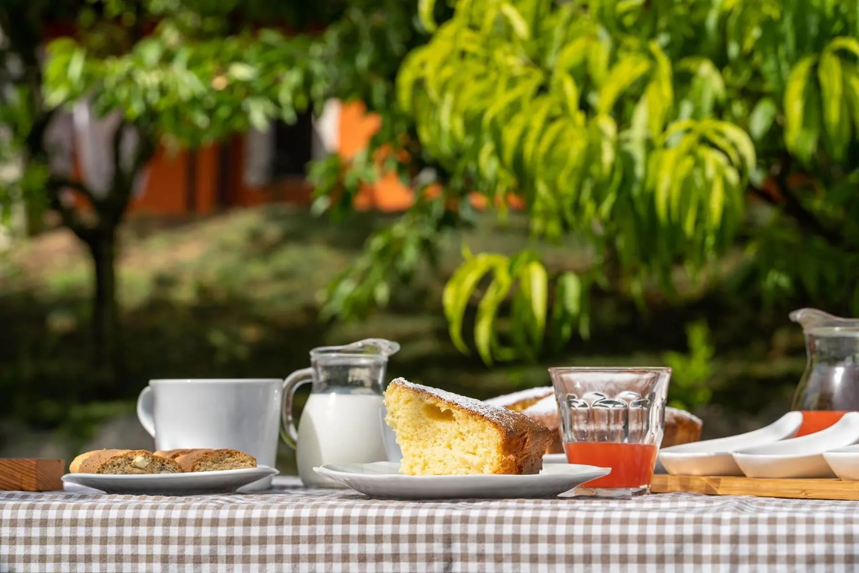 Breakfast in B&B LA GRADINA