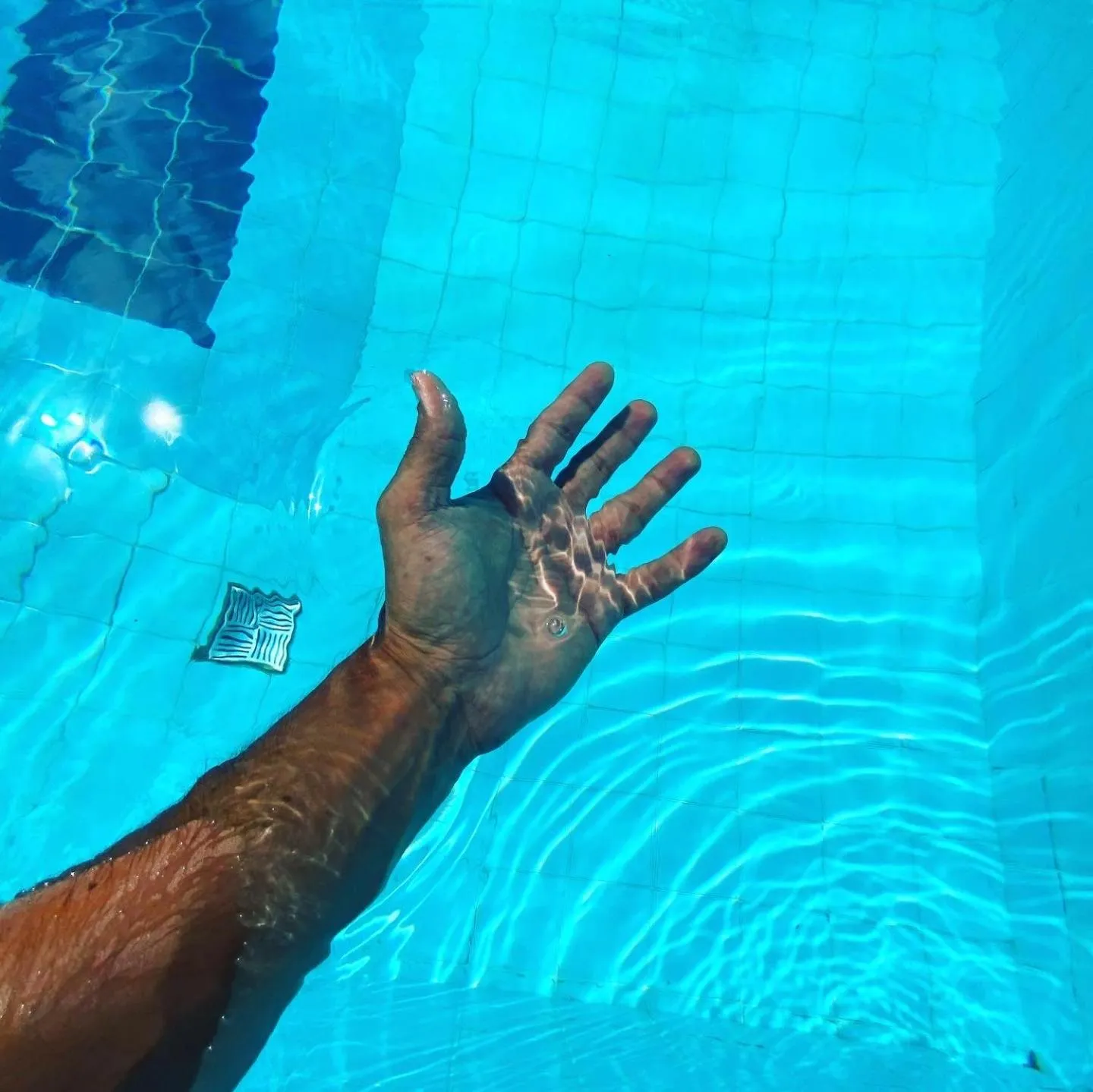 Swimming pool in EcoVila-Zen Bougainville - Hotel Pousada