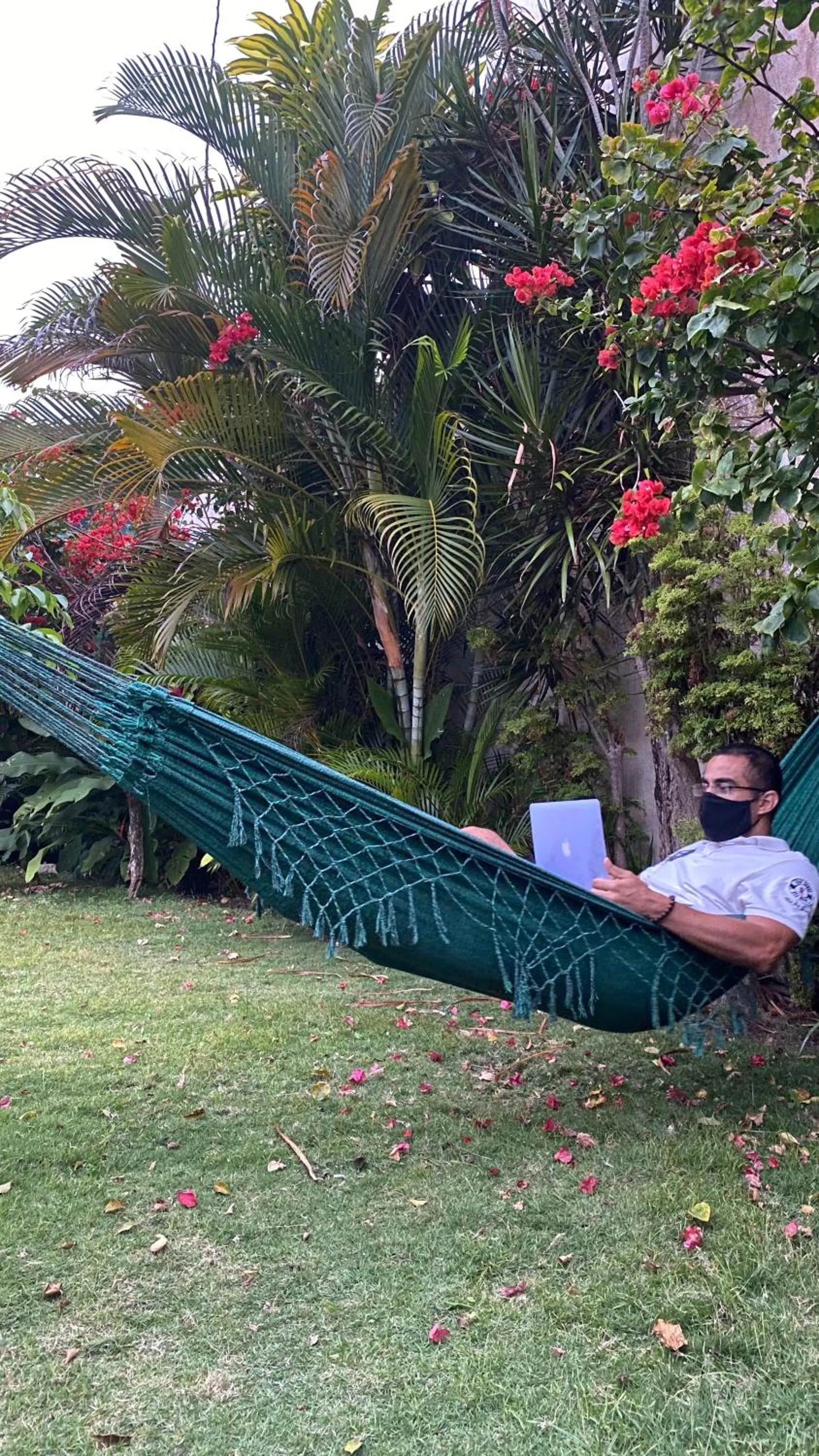 Garden in EcoVila-Zen Bougainville - Hotel Pousada