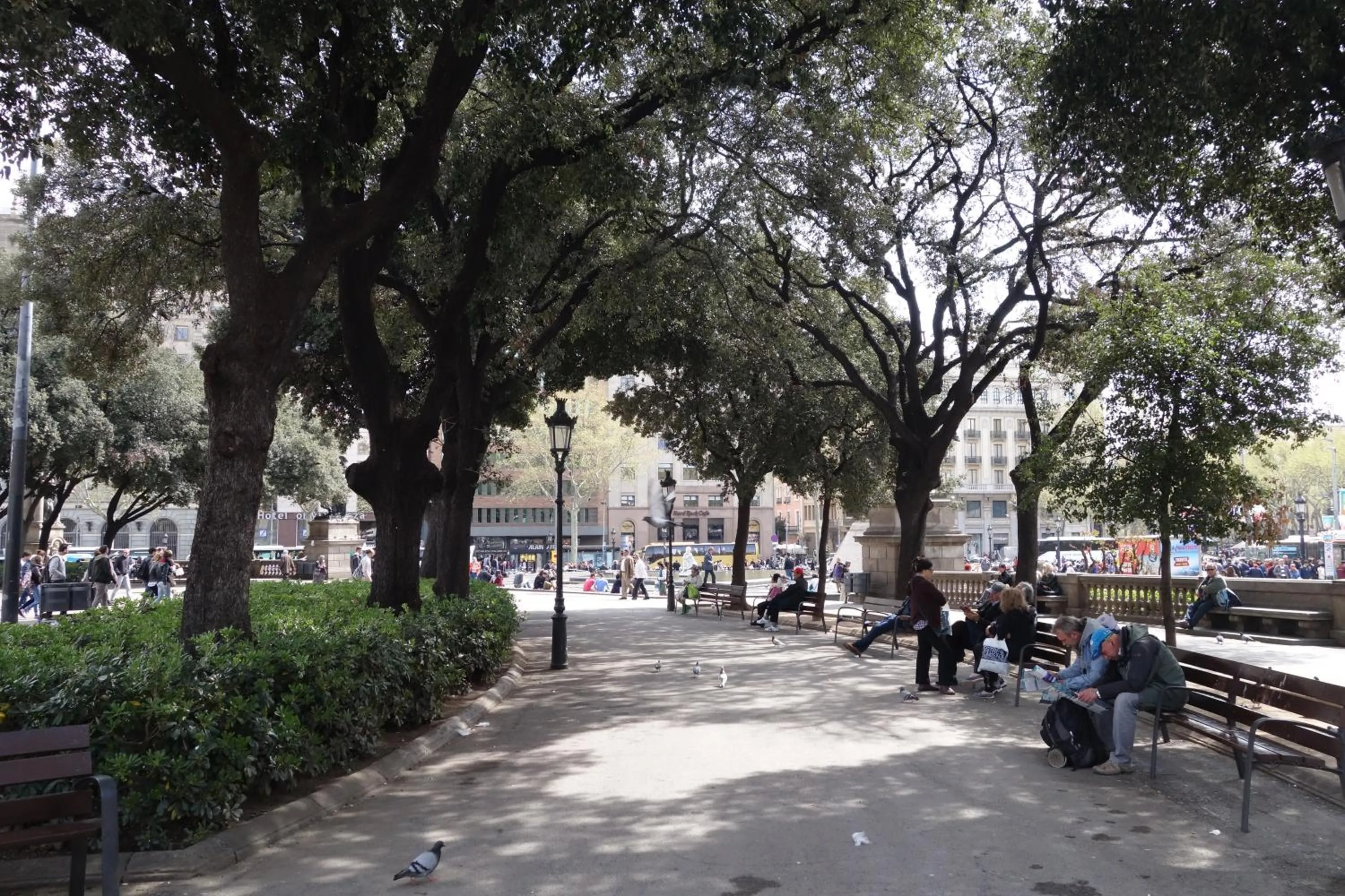 Other in You Stylish El Born Apartments