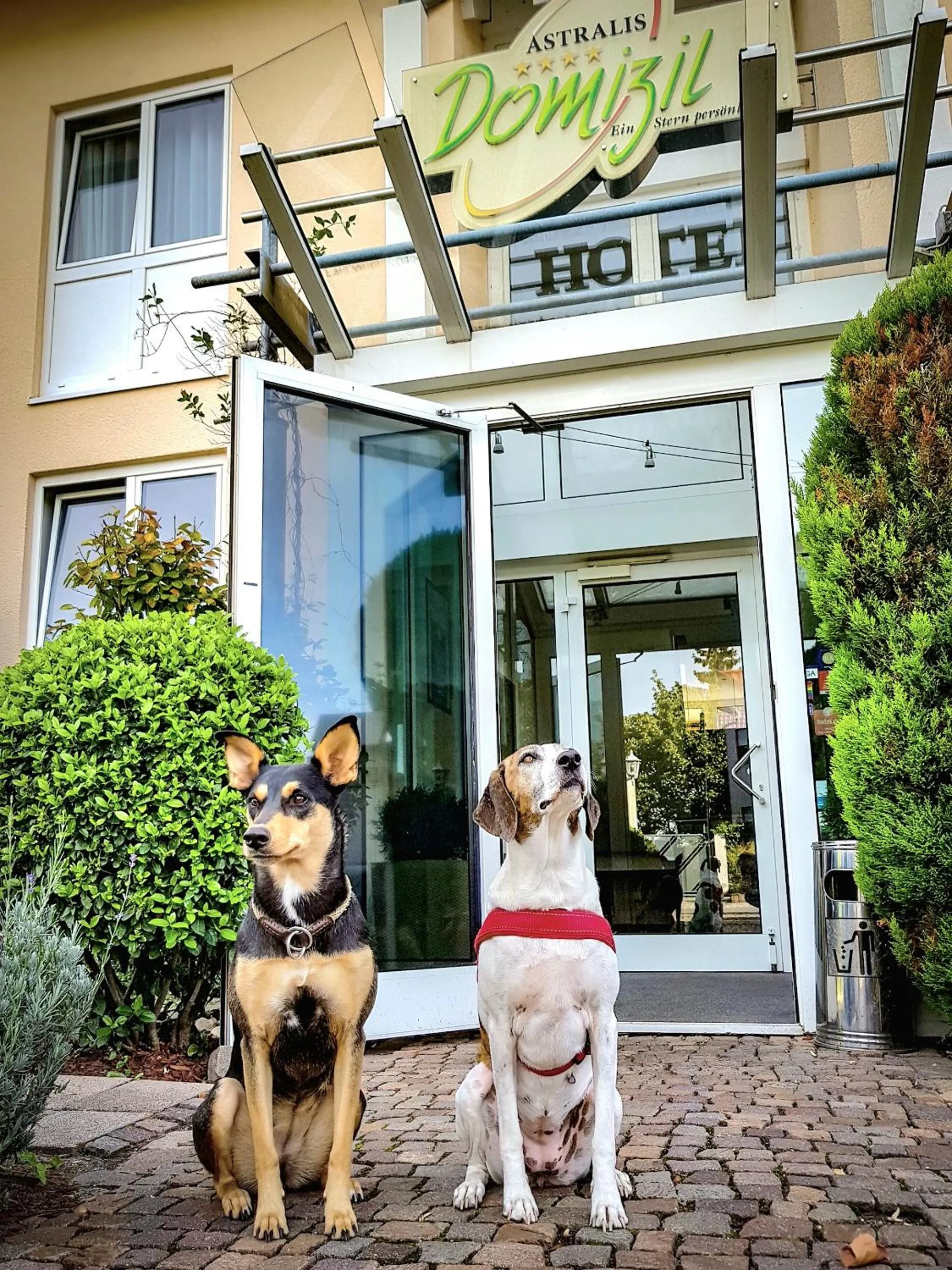 Property building in Astralis Hotel Domizil