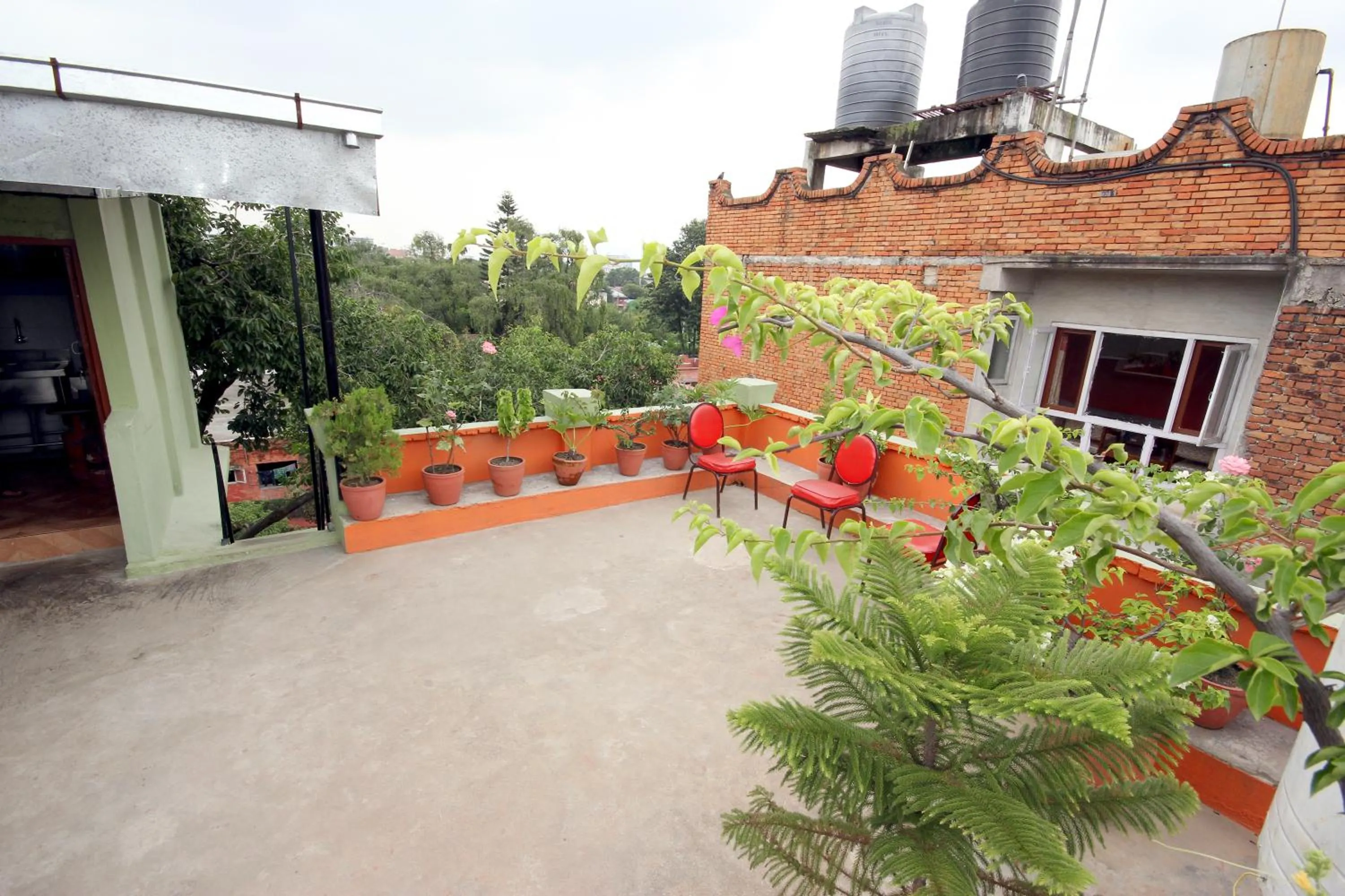 Garden in hotel Backpackers inn