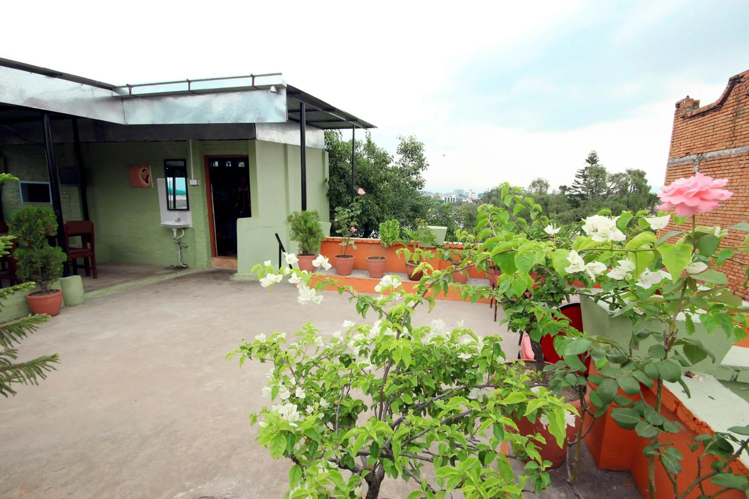 Restaurant/places to eat in hotel Backpackers inn